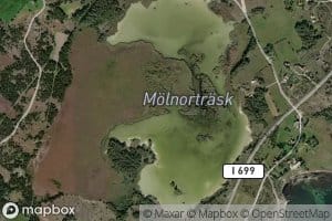 Molnortrask