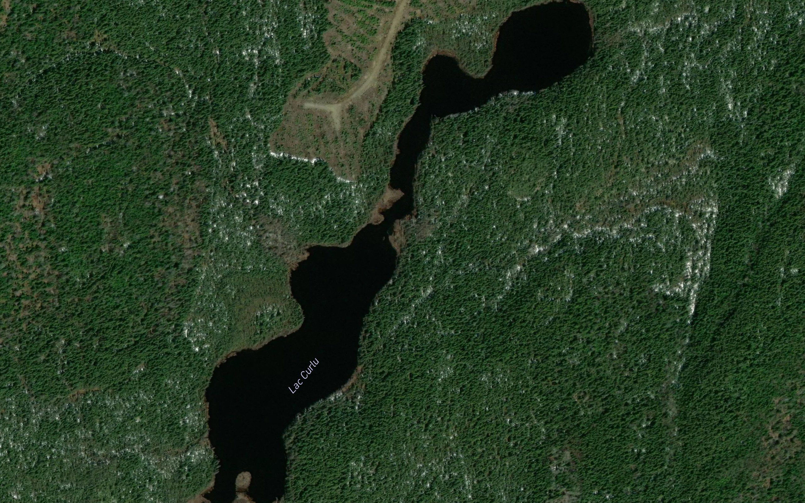 Lac Curlu