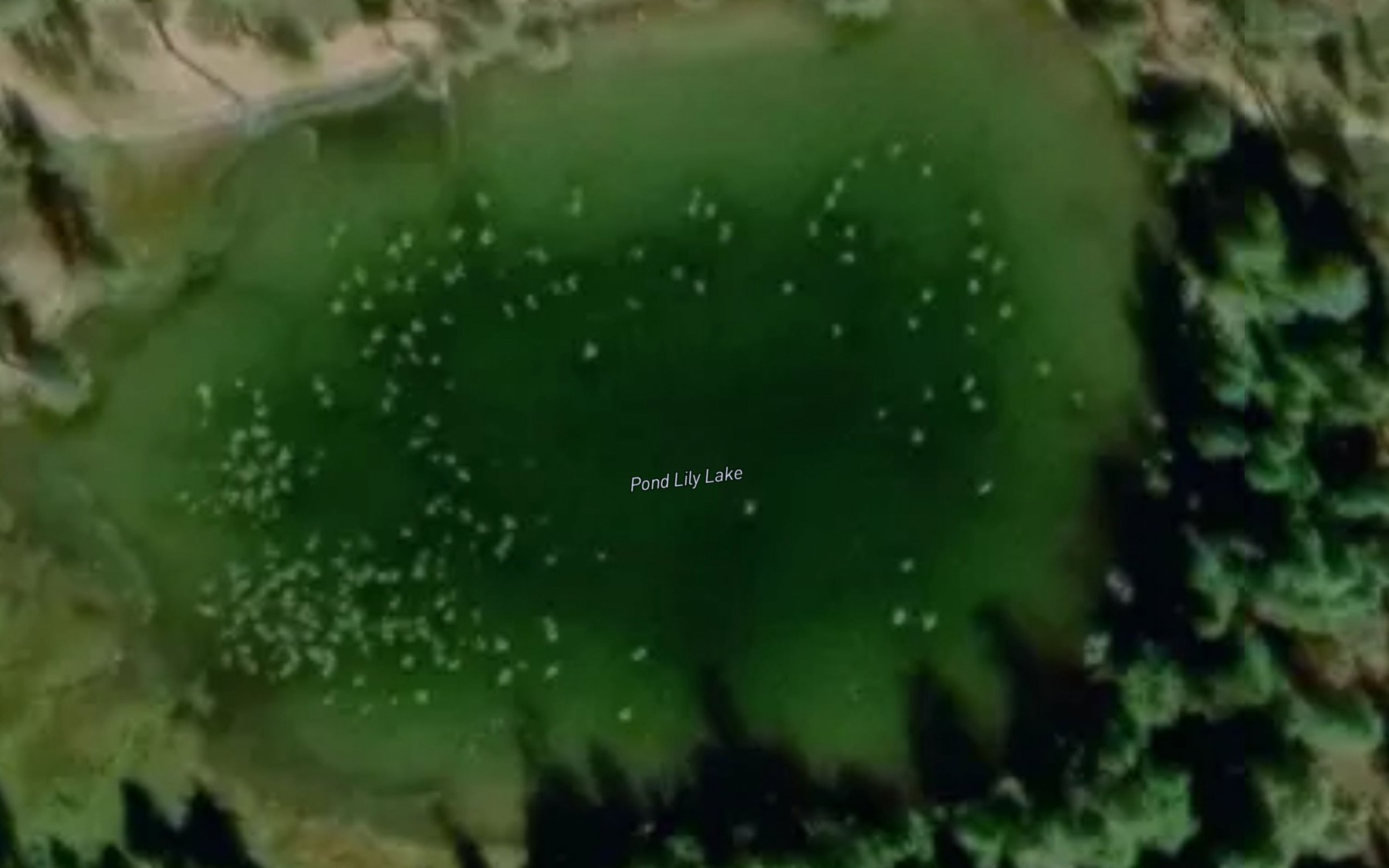 Satellite map of the Pond Lily Lake