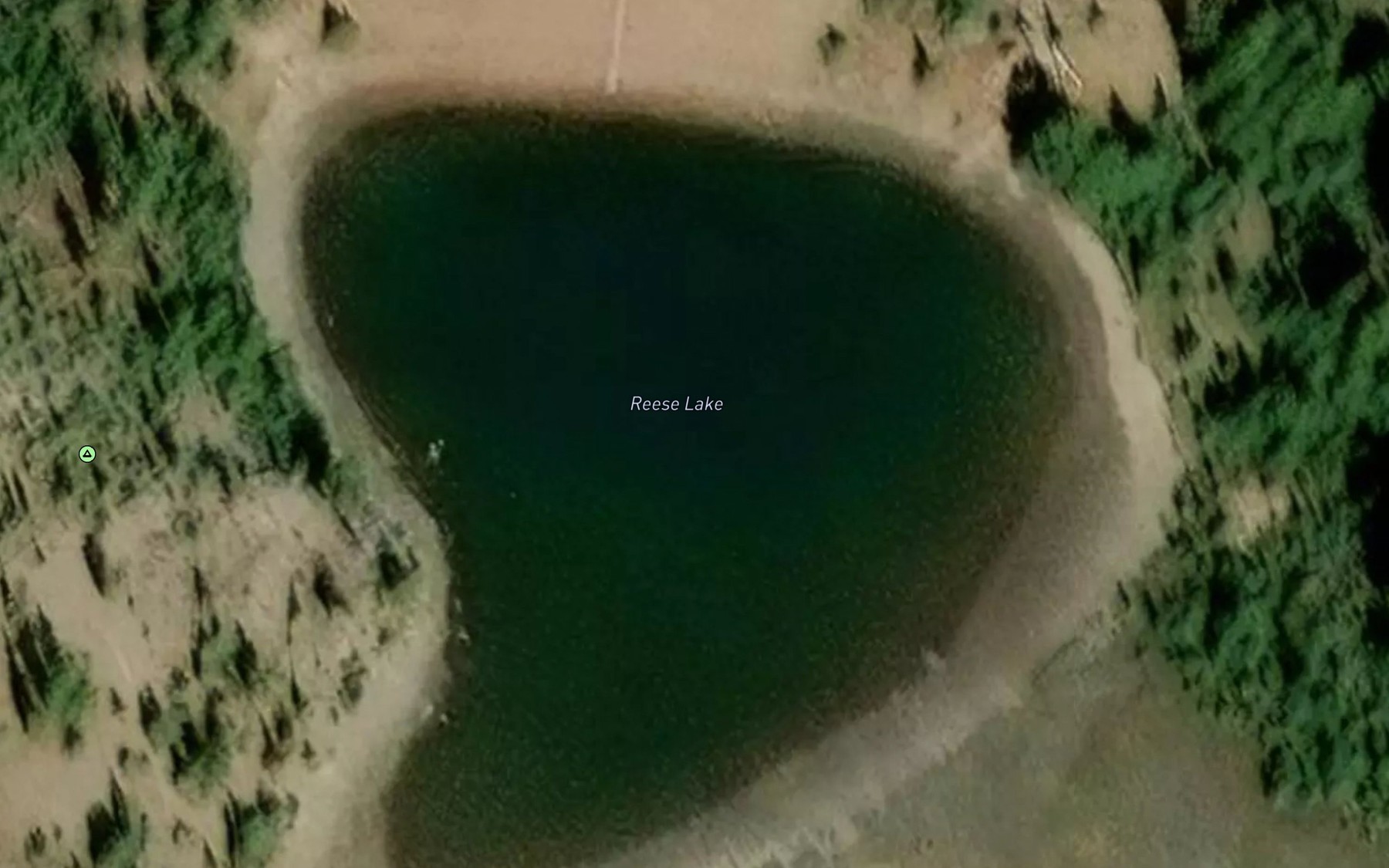 Satellite map of the Reese Lake