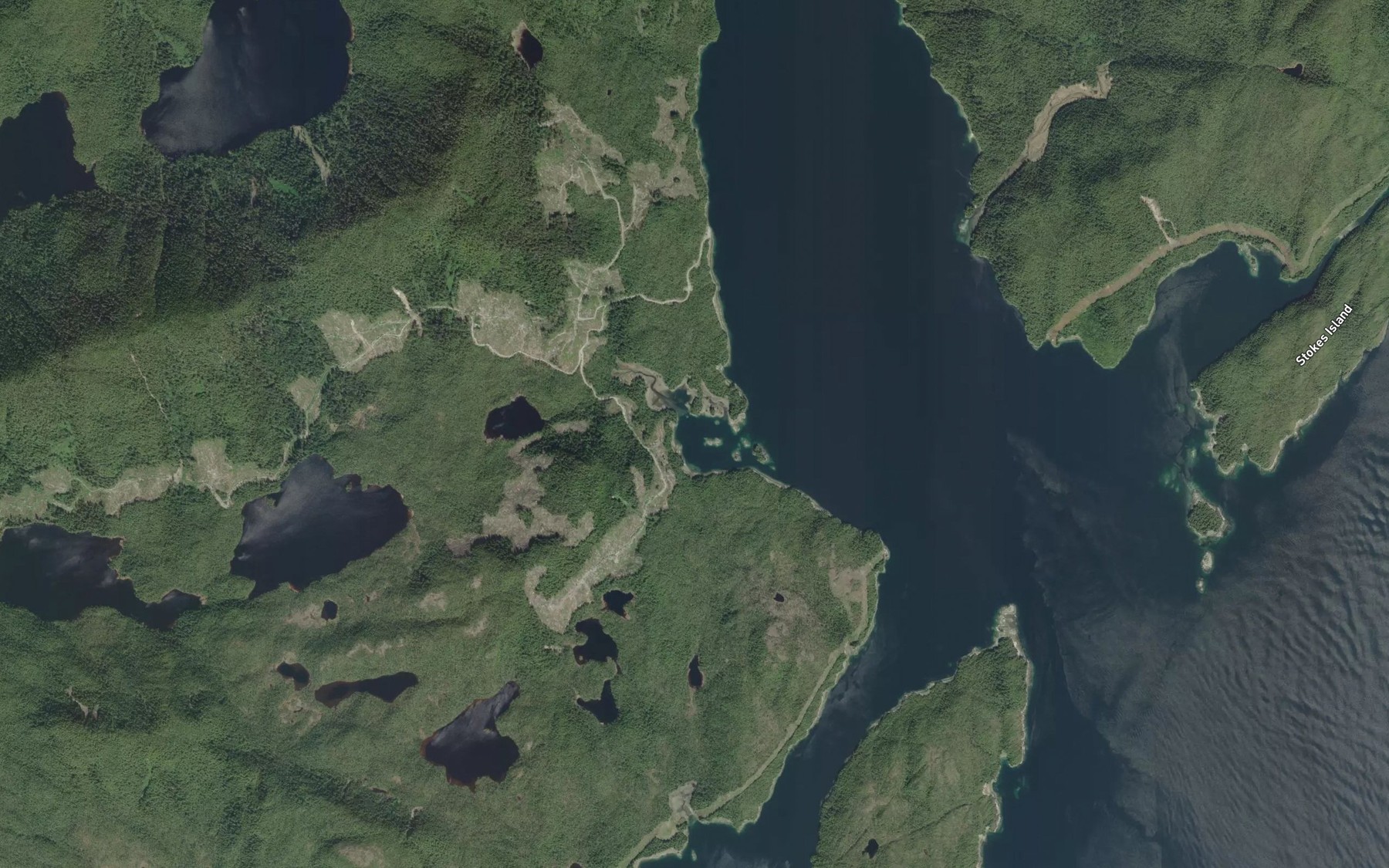 Satellite map of the Bainbridge Cove