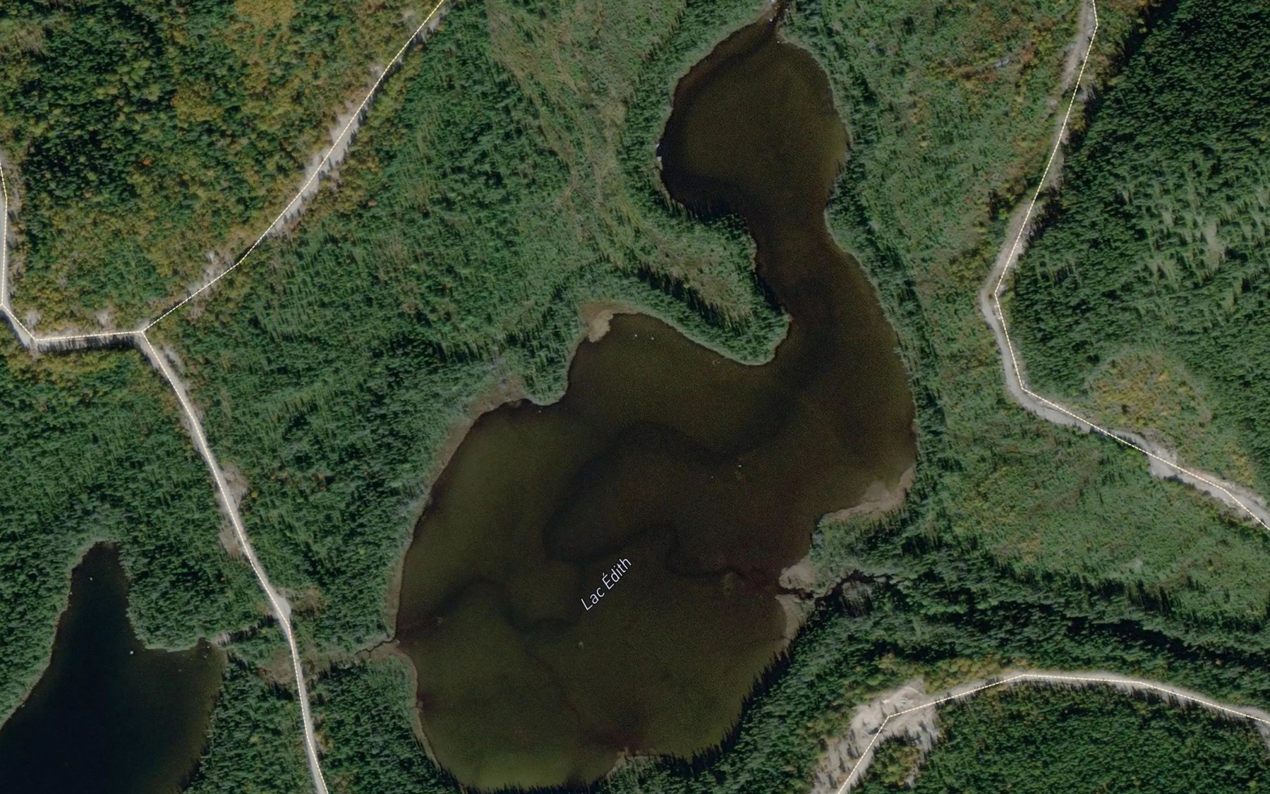 Satellite map of the Lac Edith