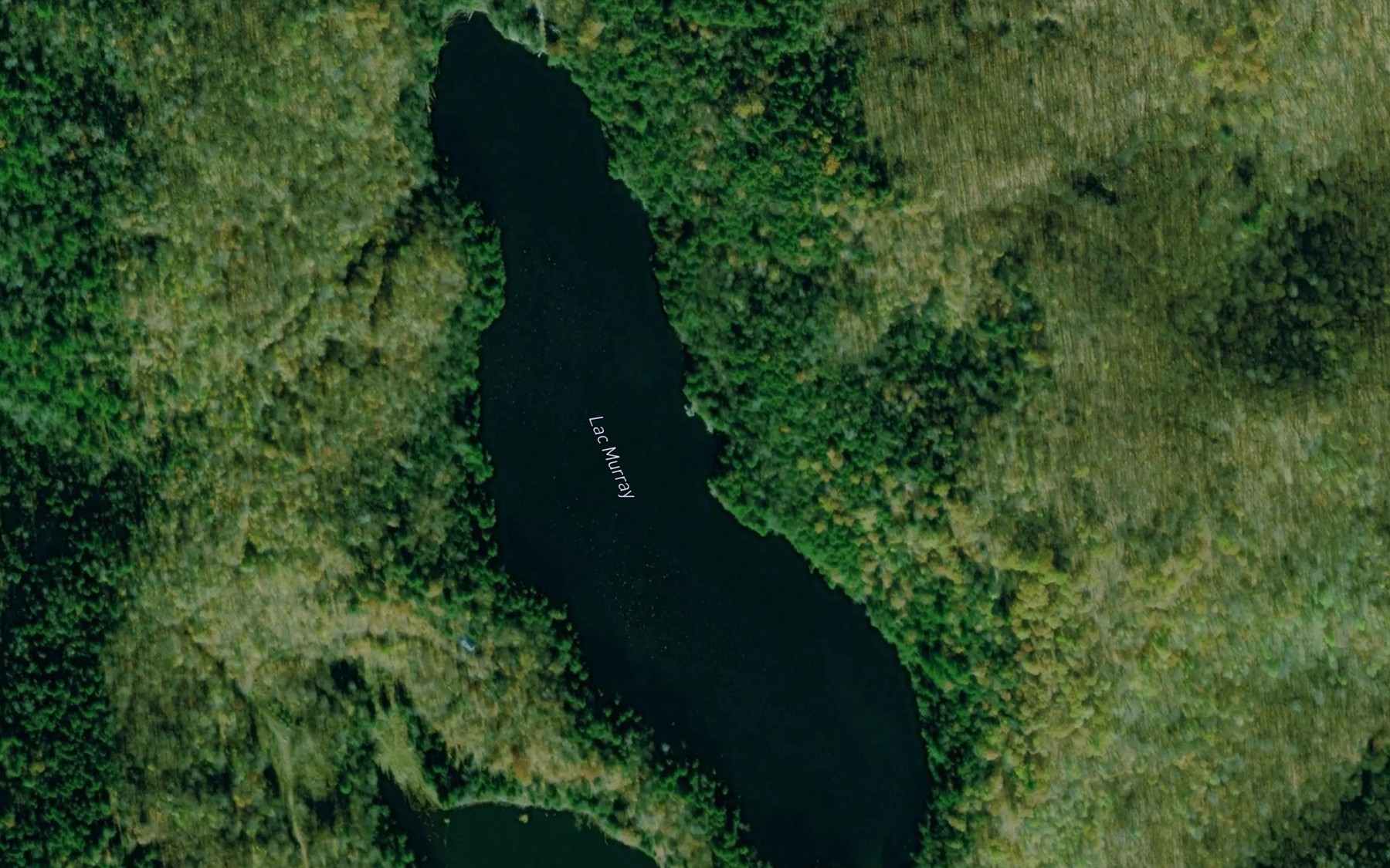 Satellite map of the Lac Murray