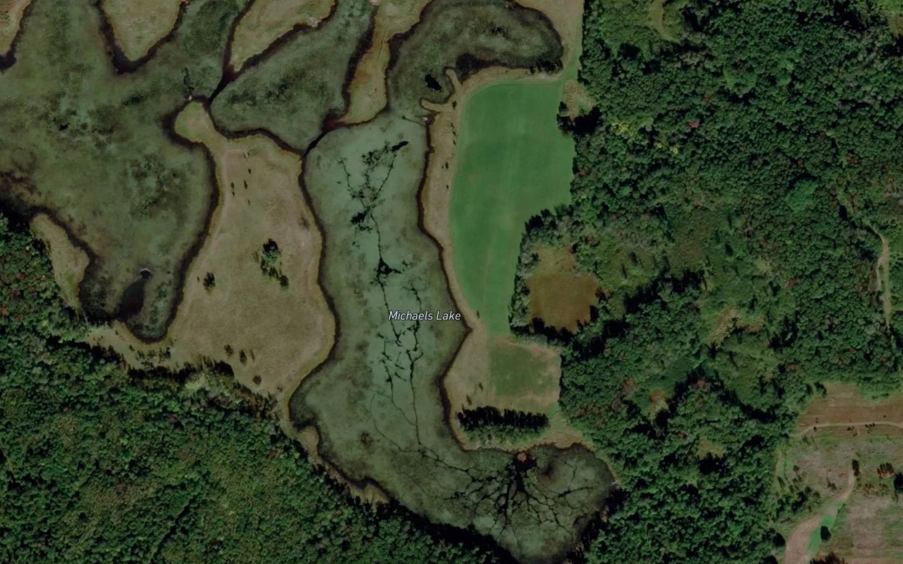 Satellite map of the Michaels Lake