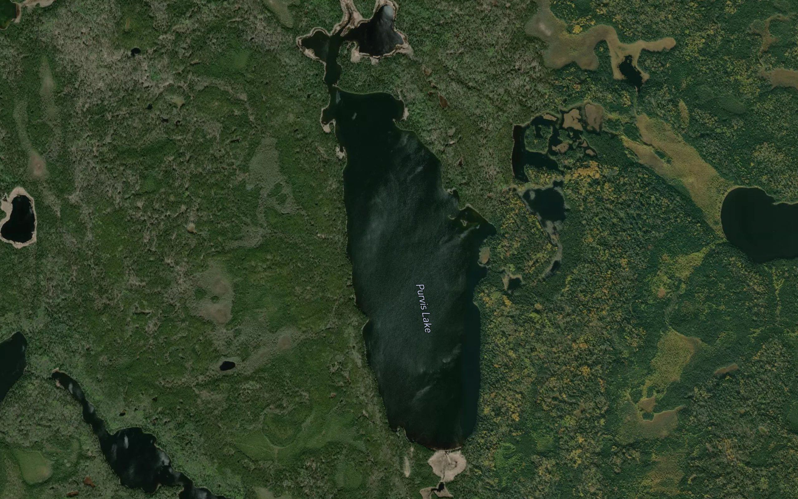 Purvis Lake