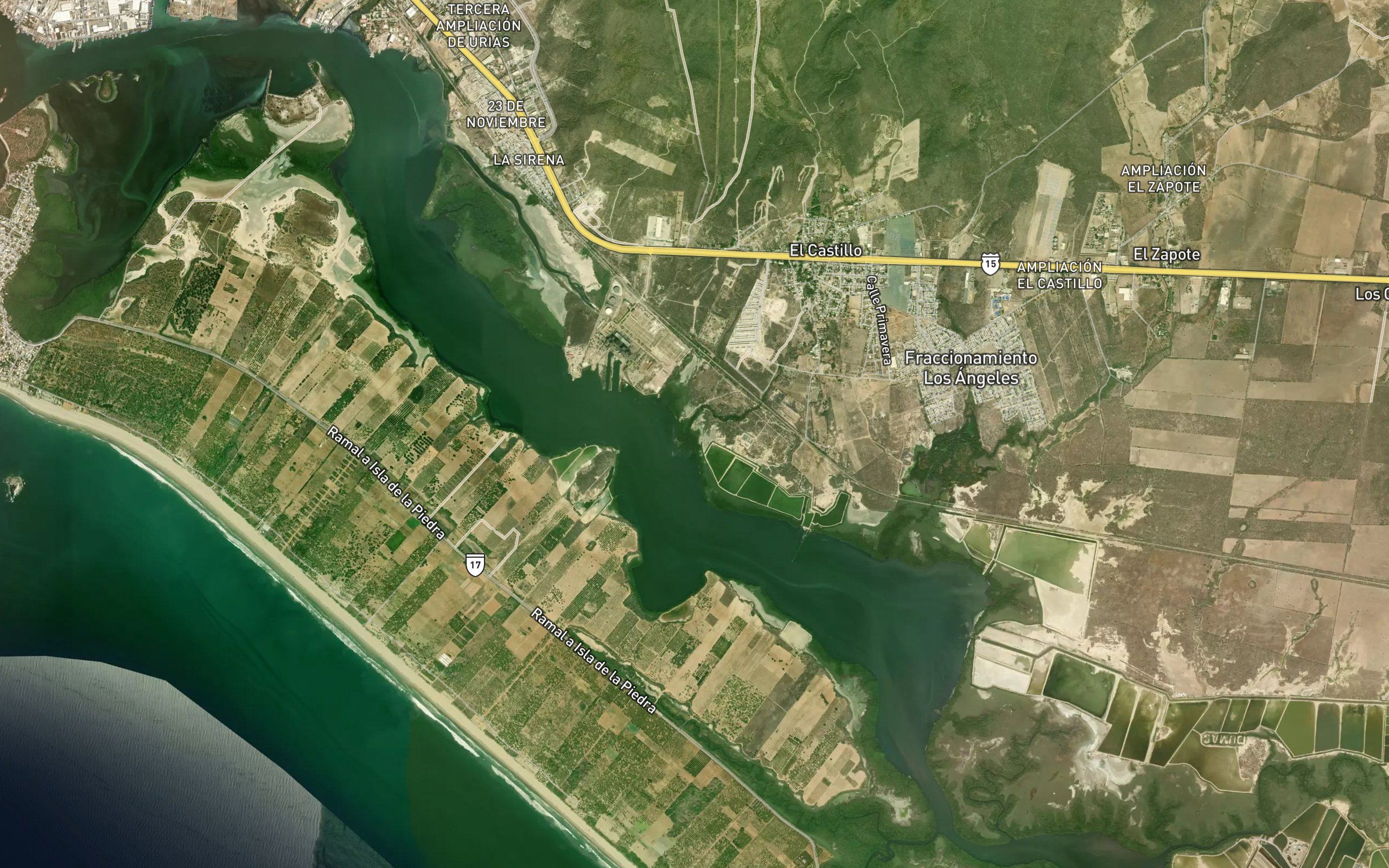 Estero Alisas