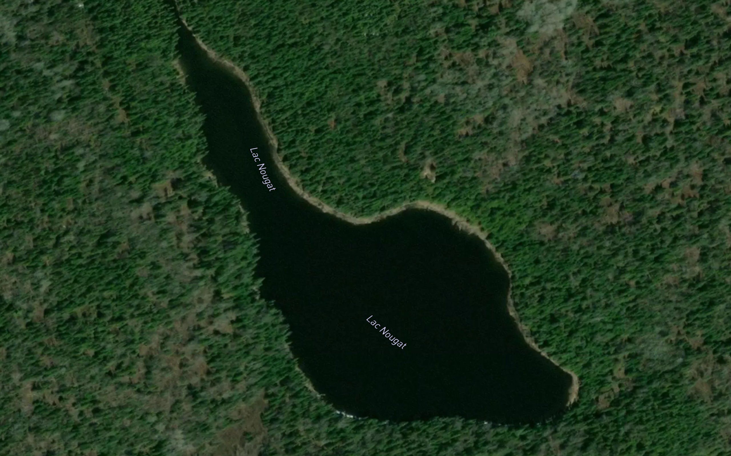 Lac Nougat