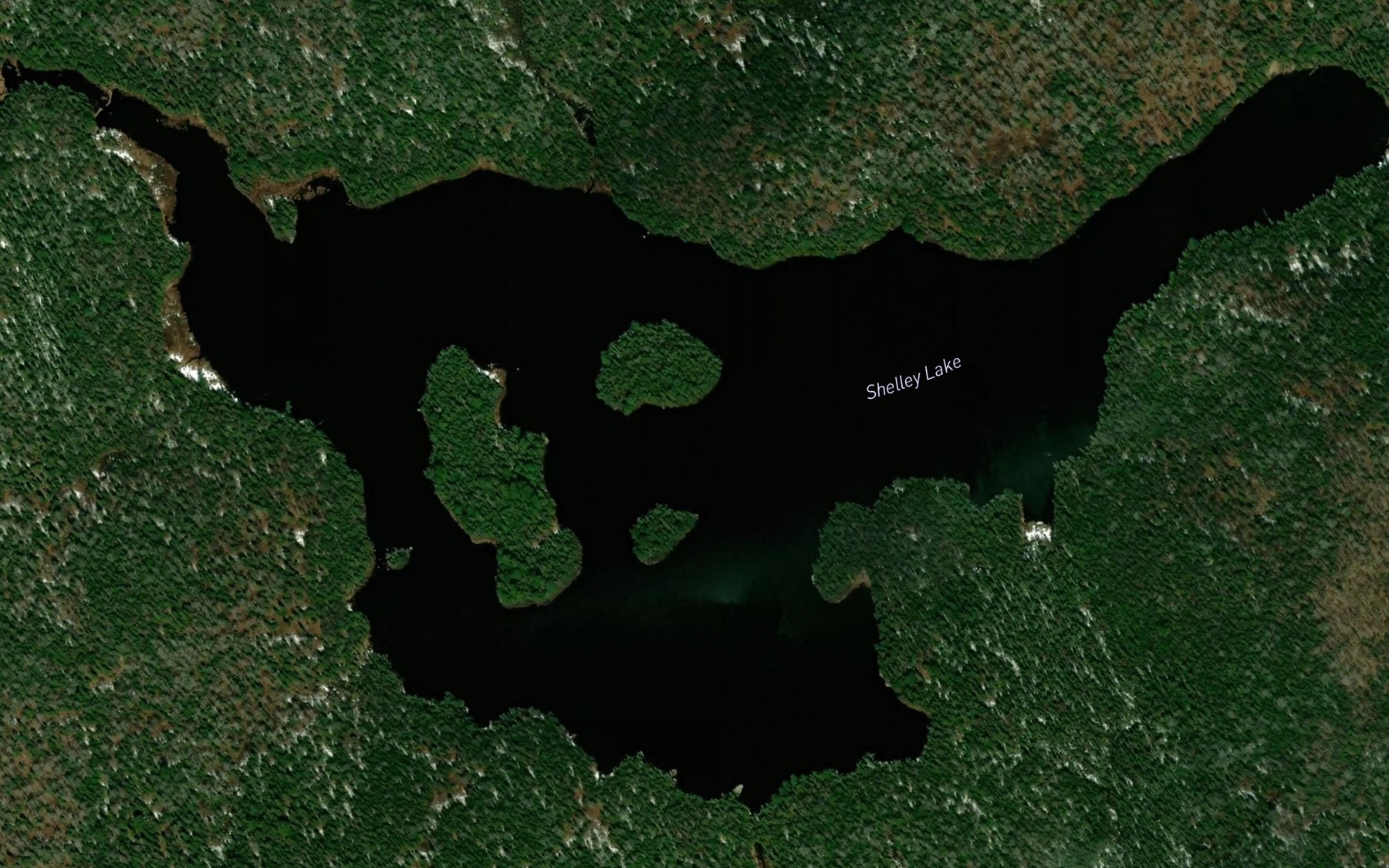 Satellite map of the Shelley Lake