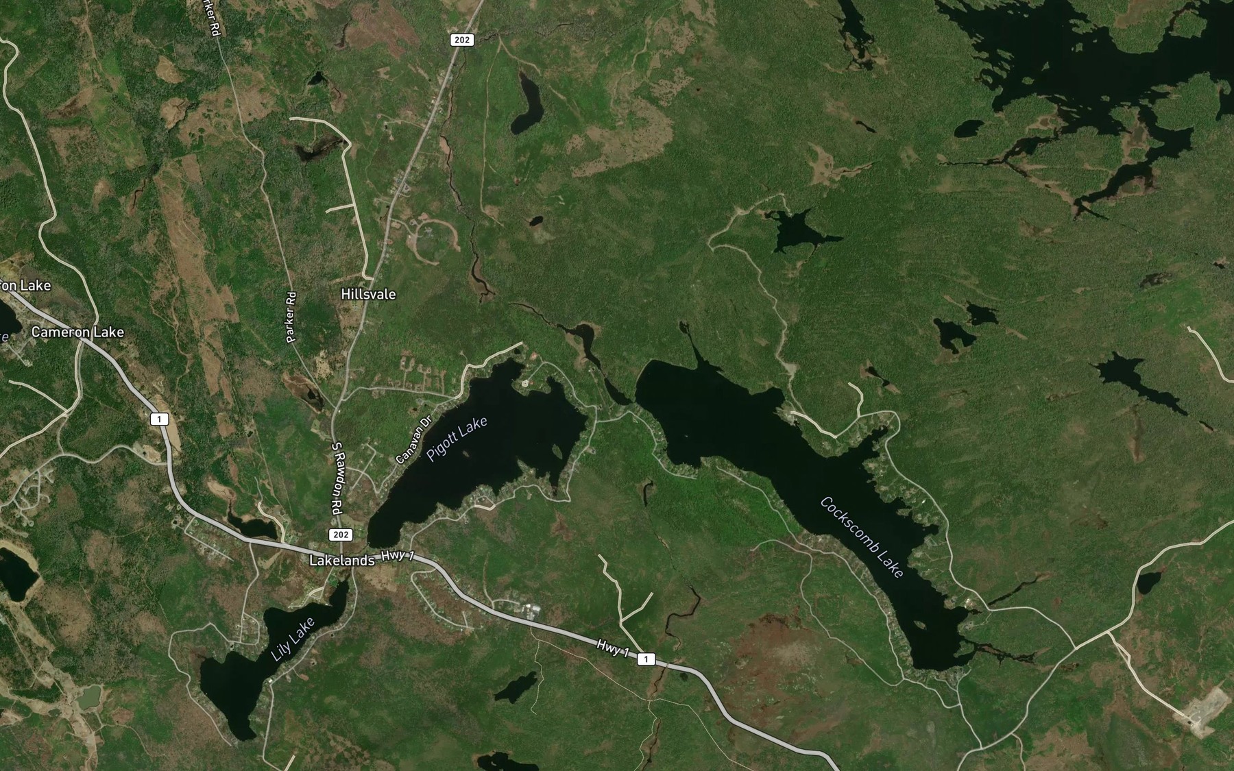 Satellite map of the Cockscomb Run