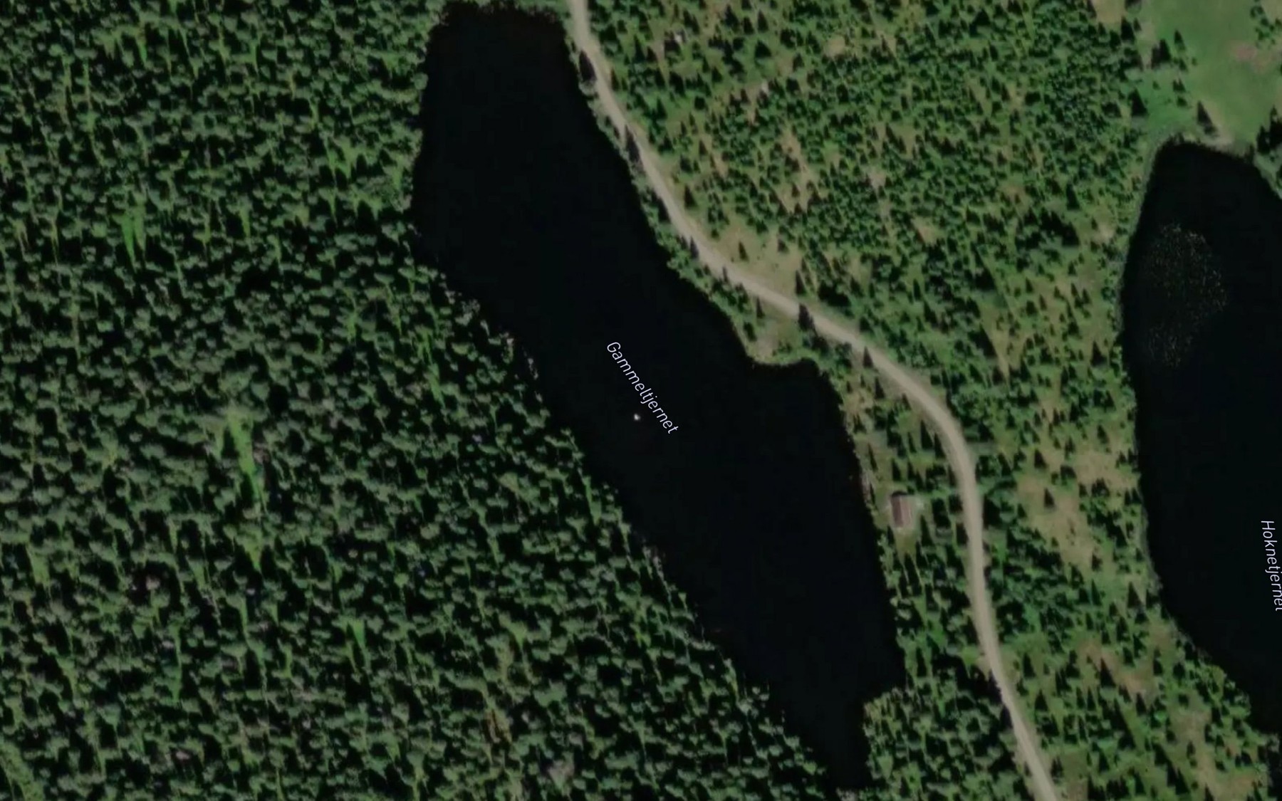 Satellite map of the Gammeltjernet
