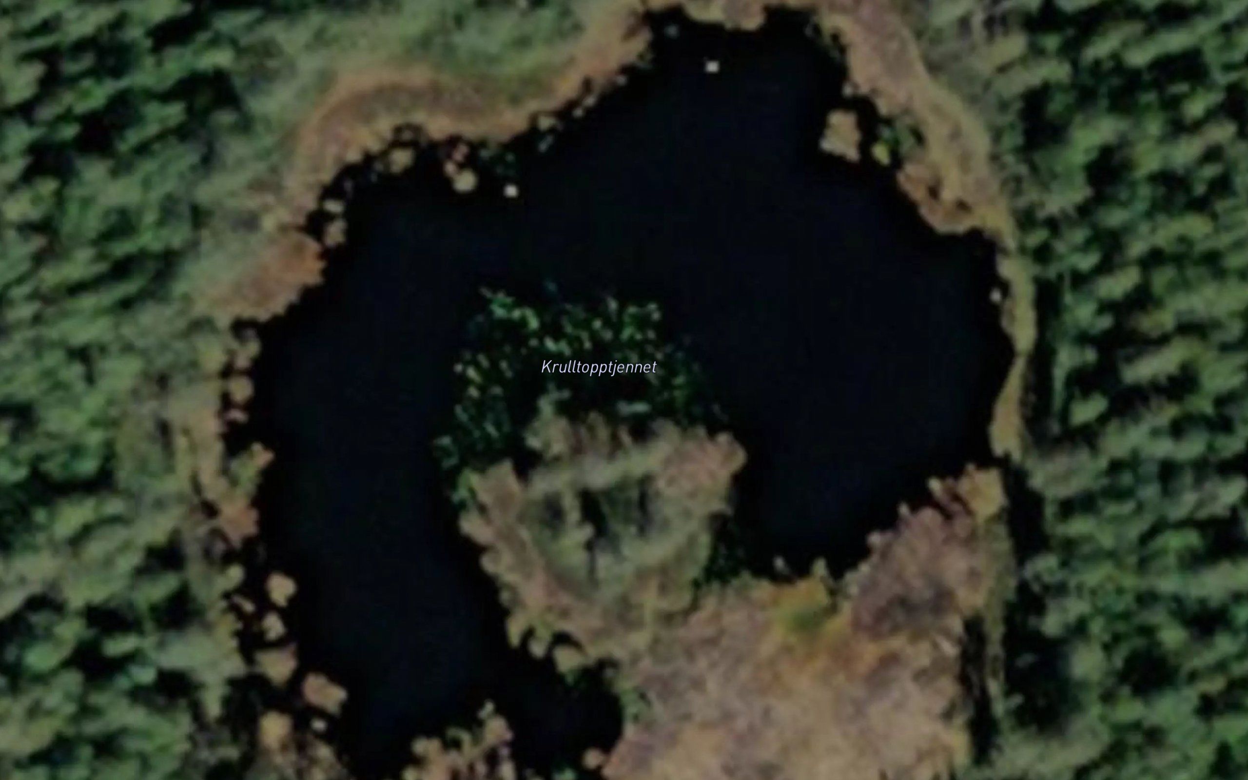 Krulltopptjernet