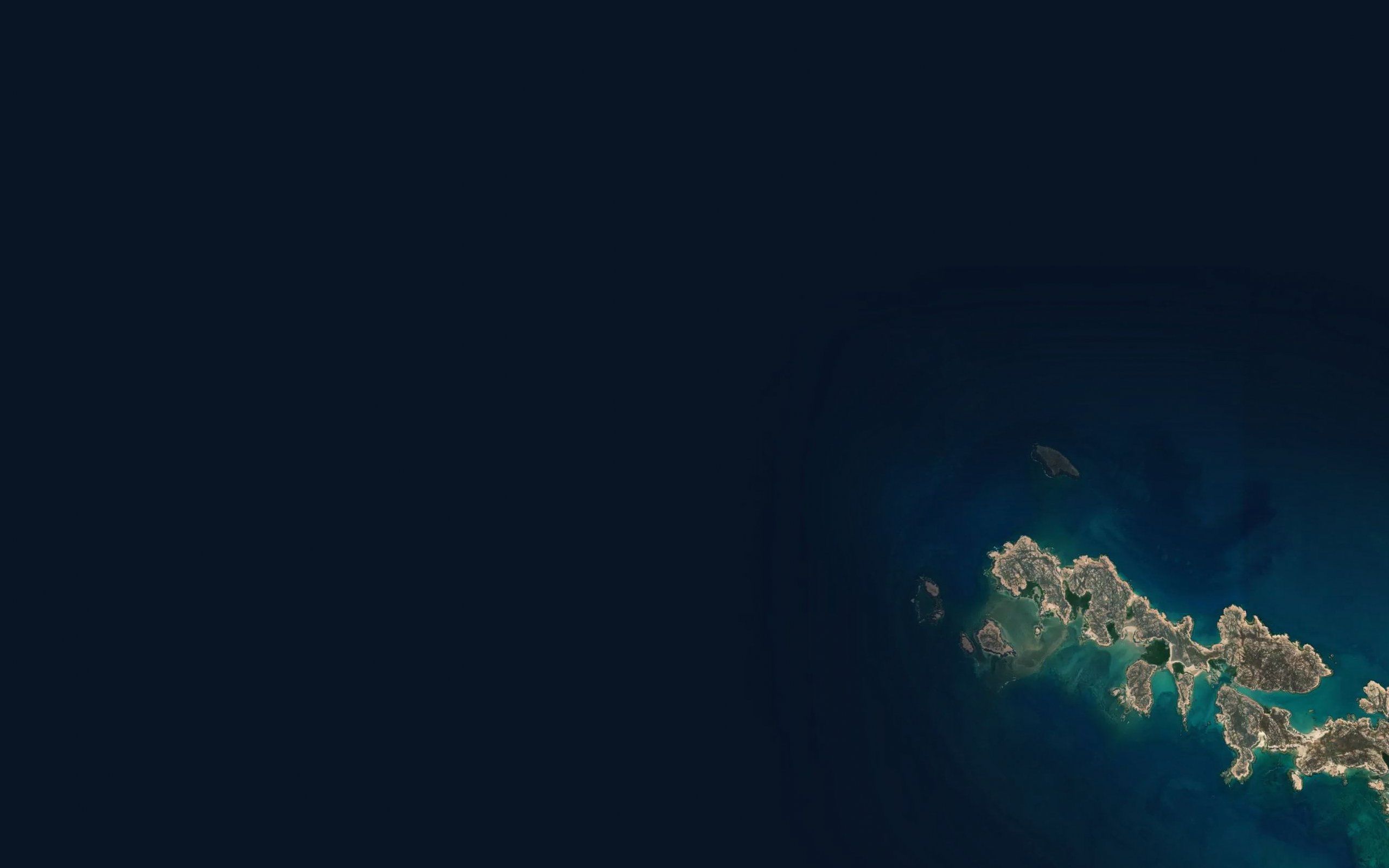 Brown Reef