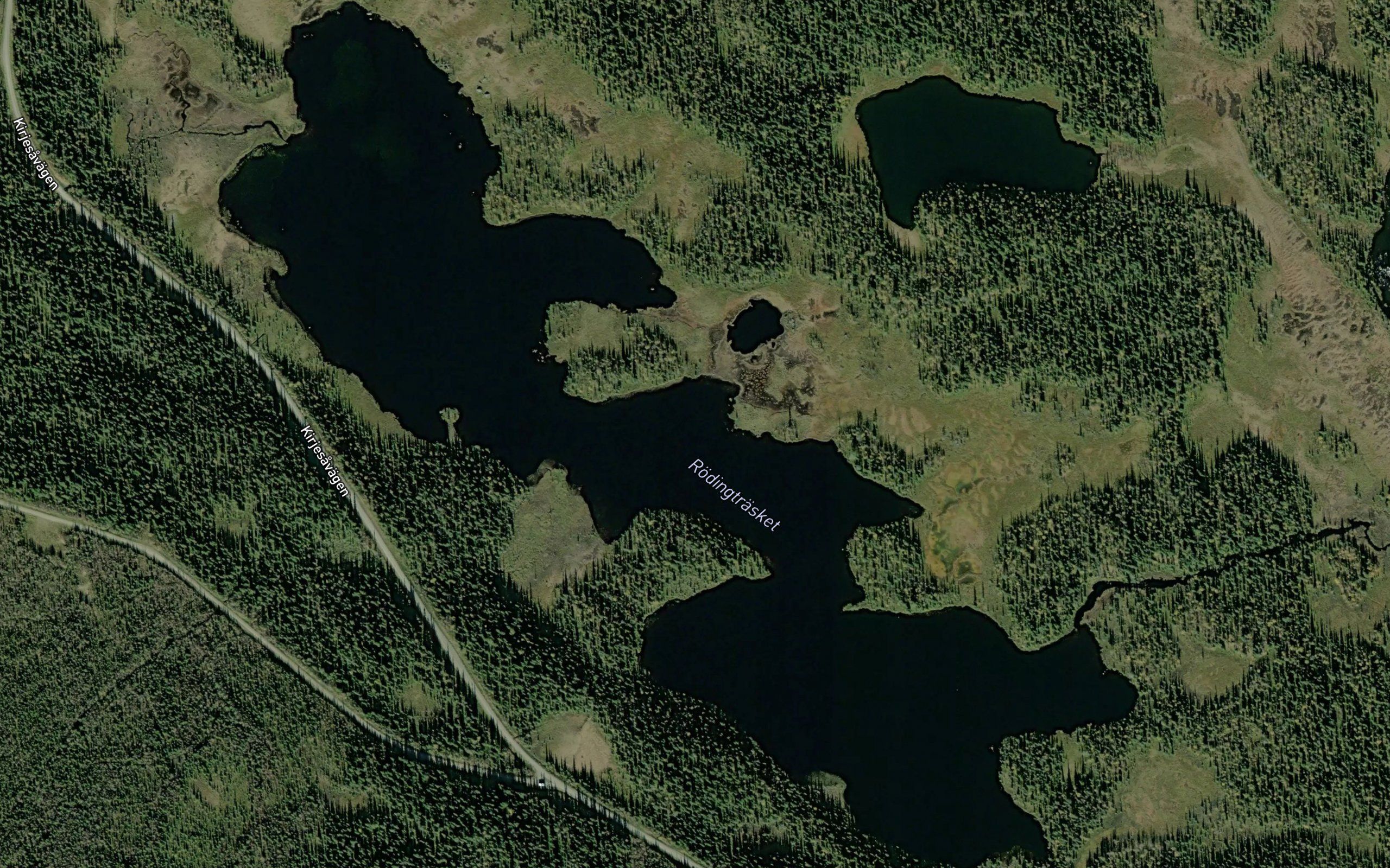 Rodingtjarn