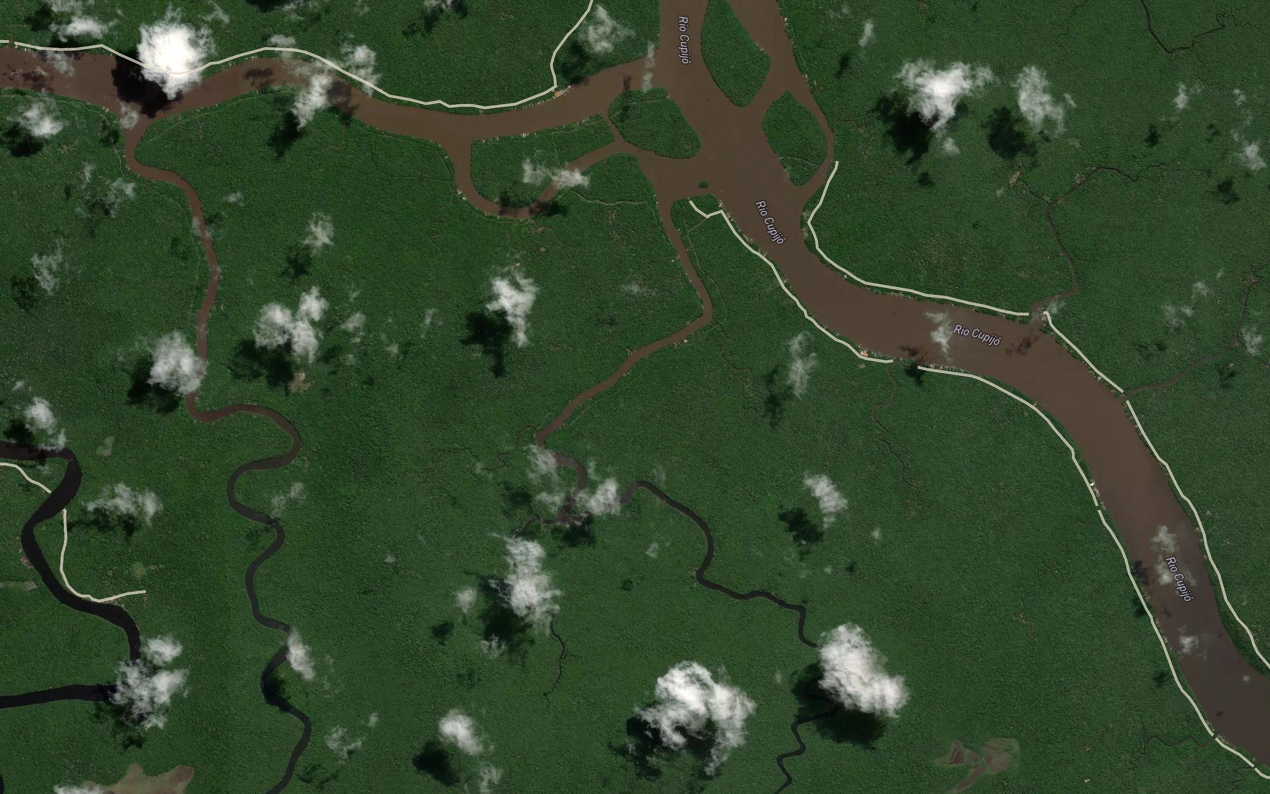Rio Cupijo-Miri
