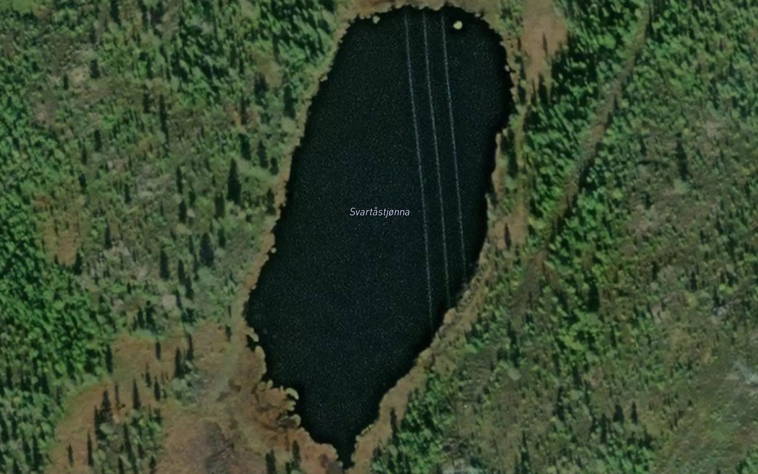Svartastjorna