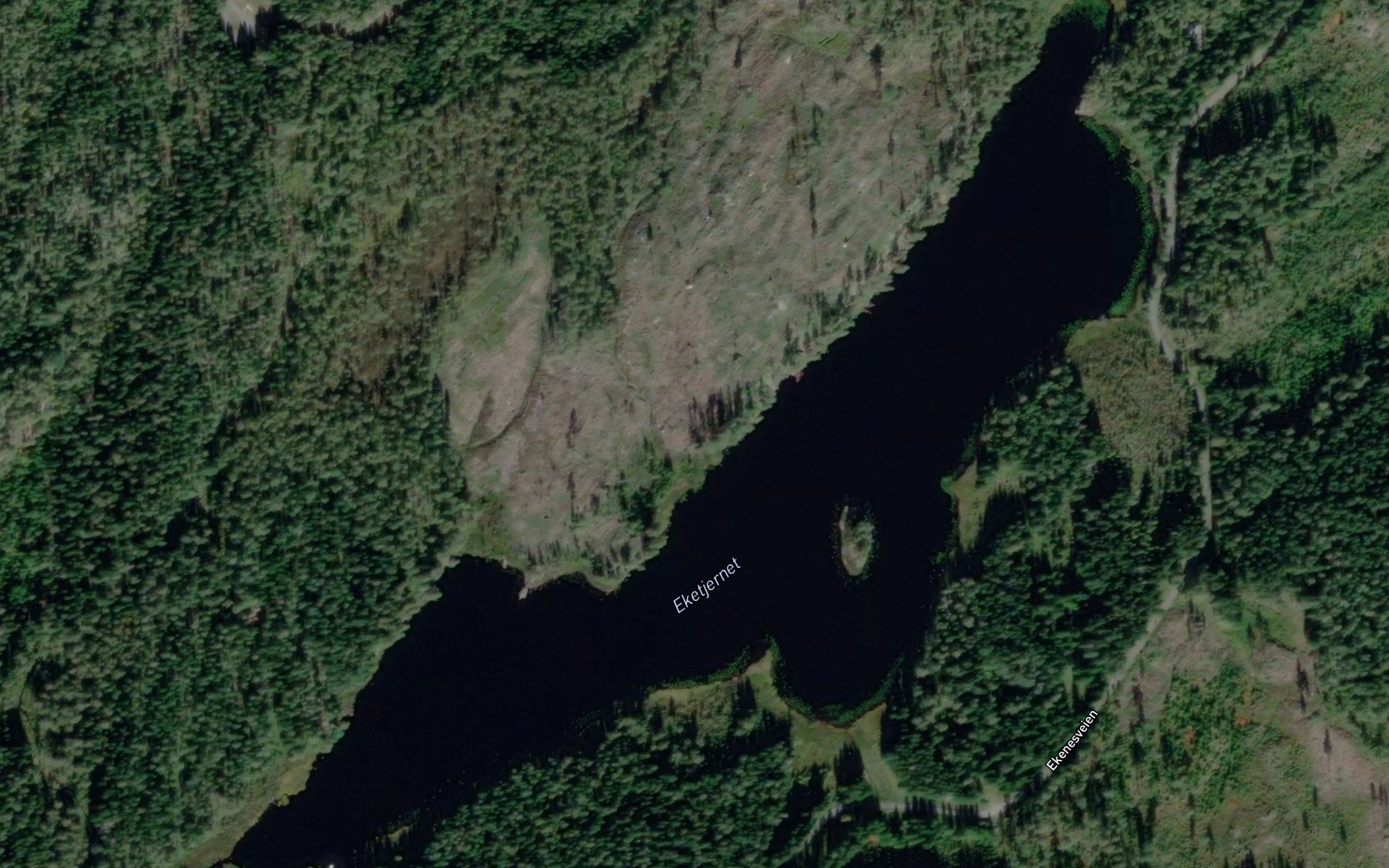 Eketjernet