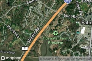 Scitterygusset Creek