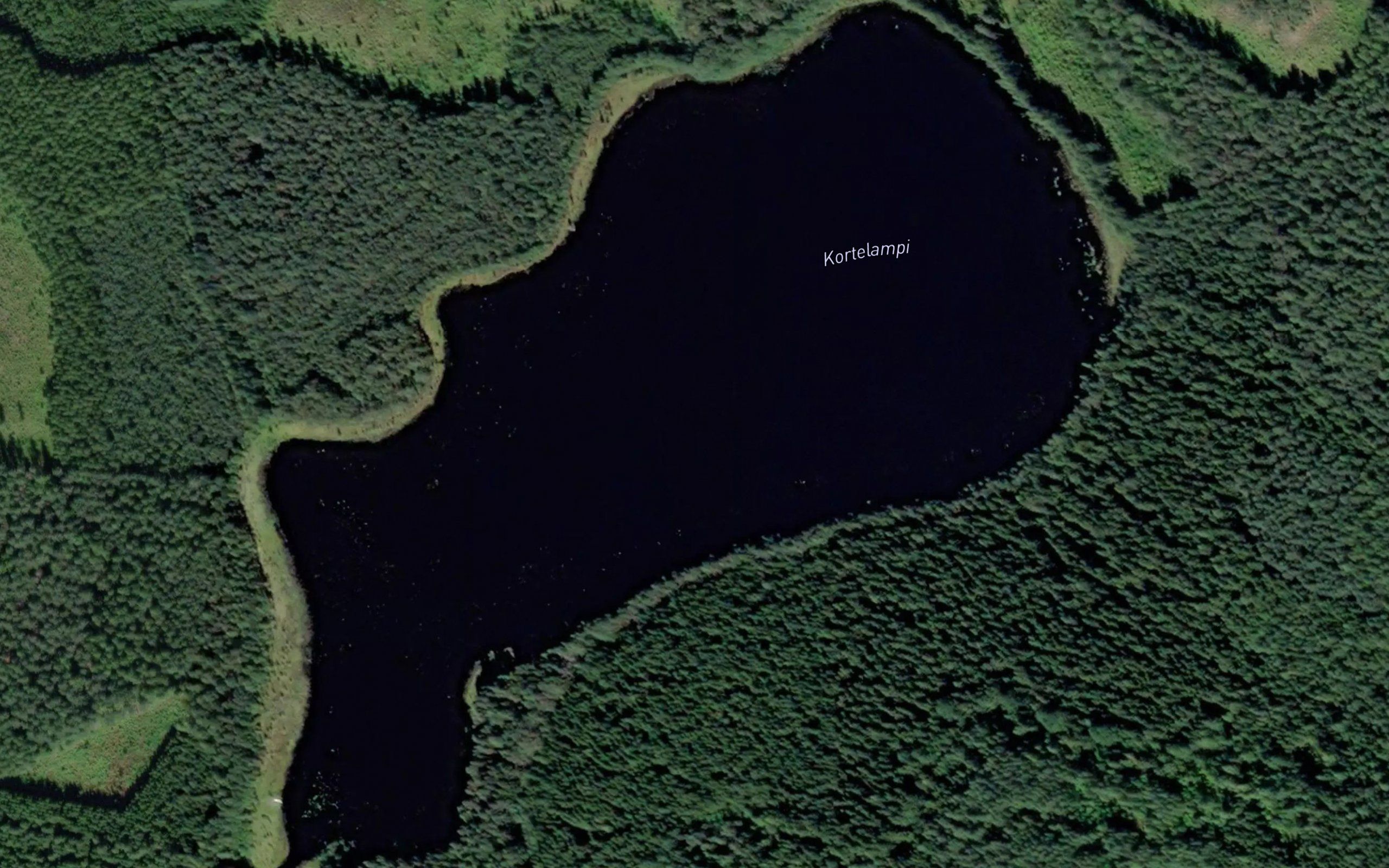 Kortelampi