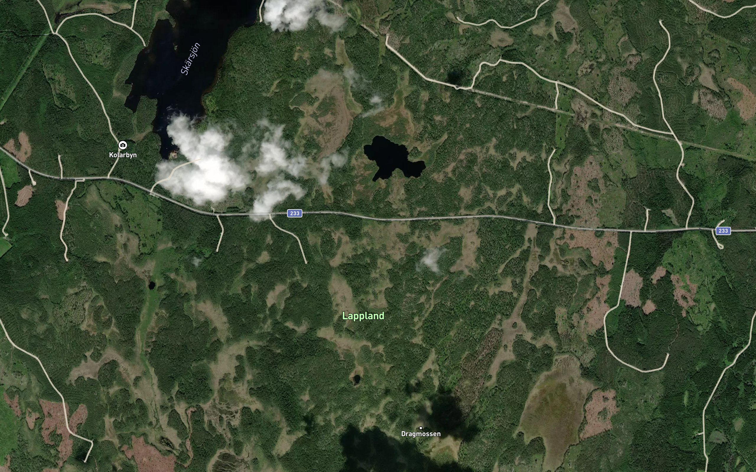 Hovtjarn