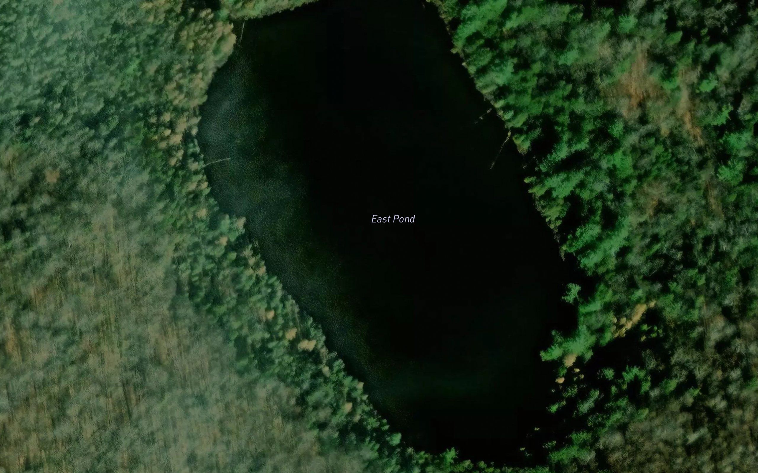 East Pond