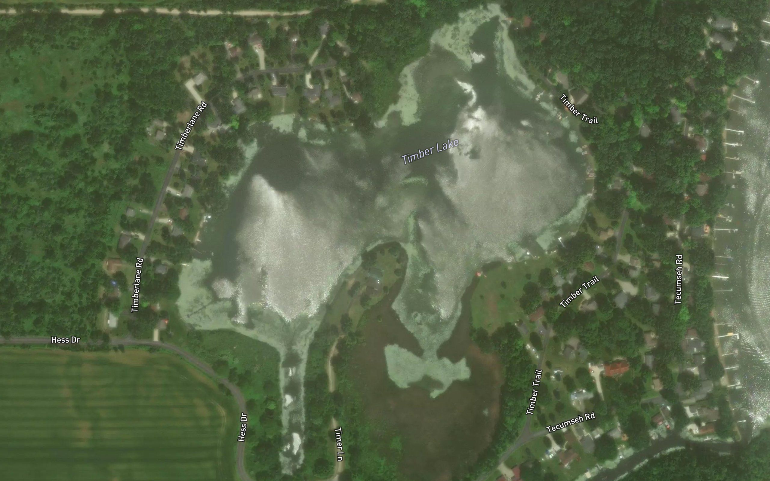 Timber Lake