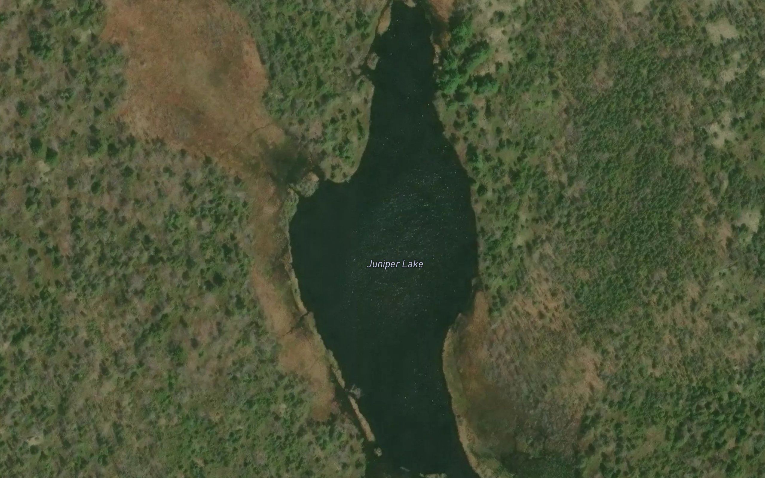 Juniper Lake