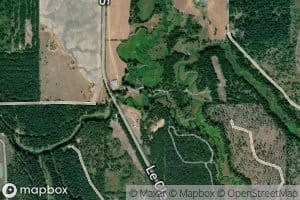 South Fork Skookum Creek