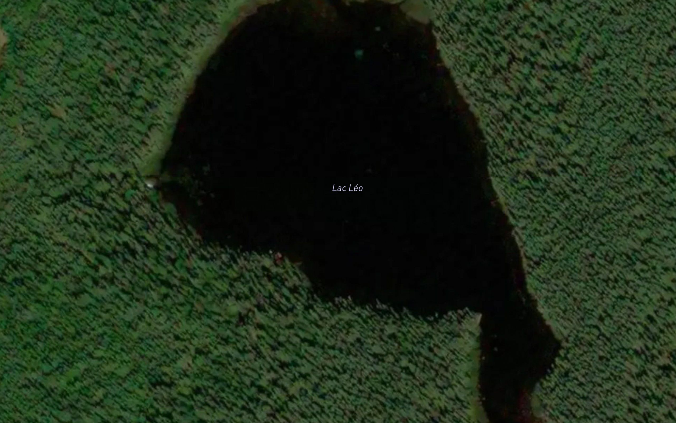 Lac Leo