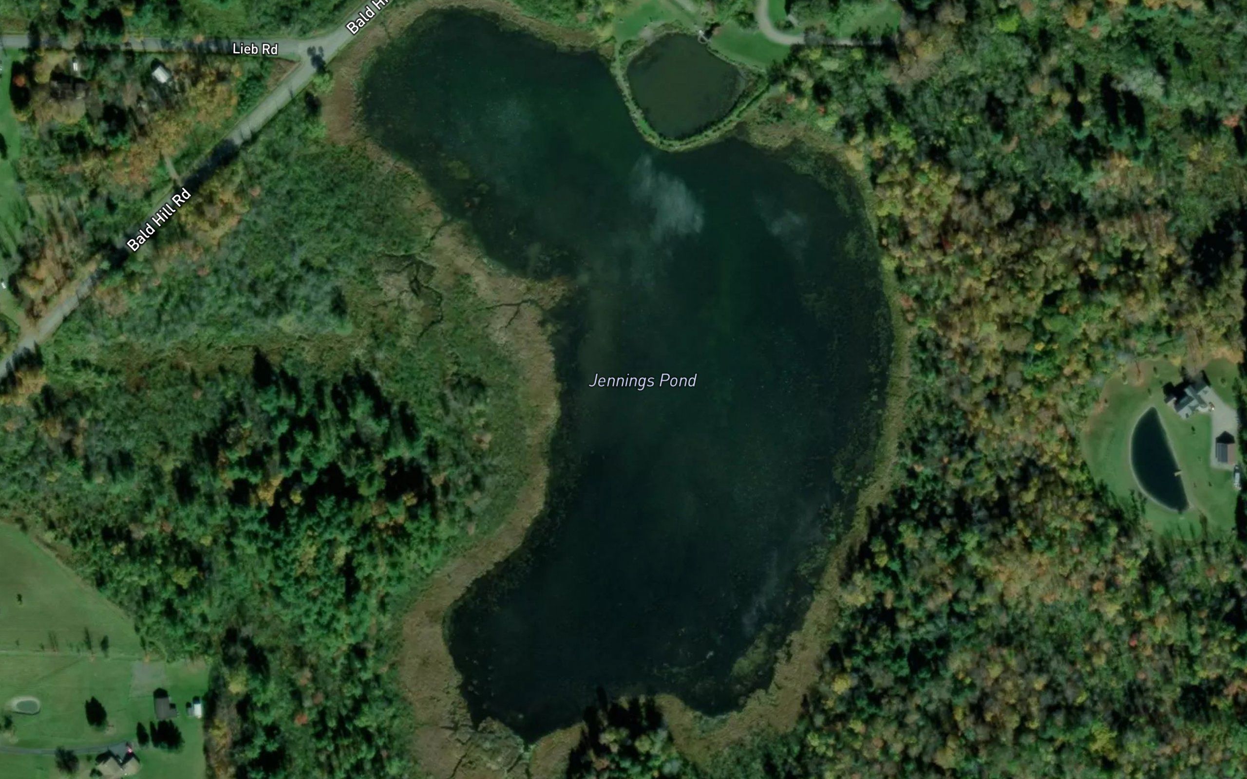 Jennings Pond