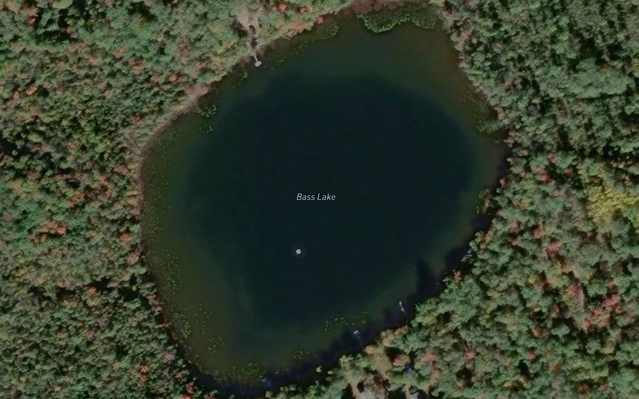 Bass Lake