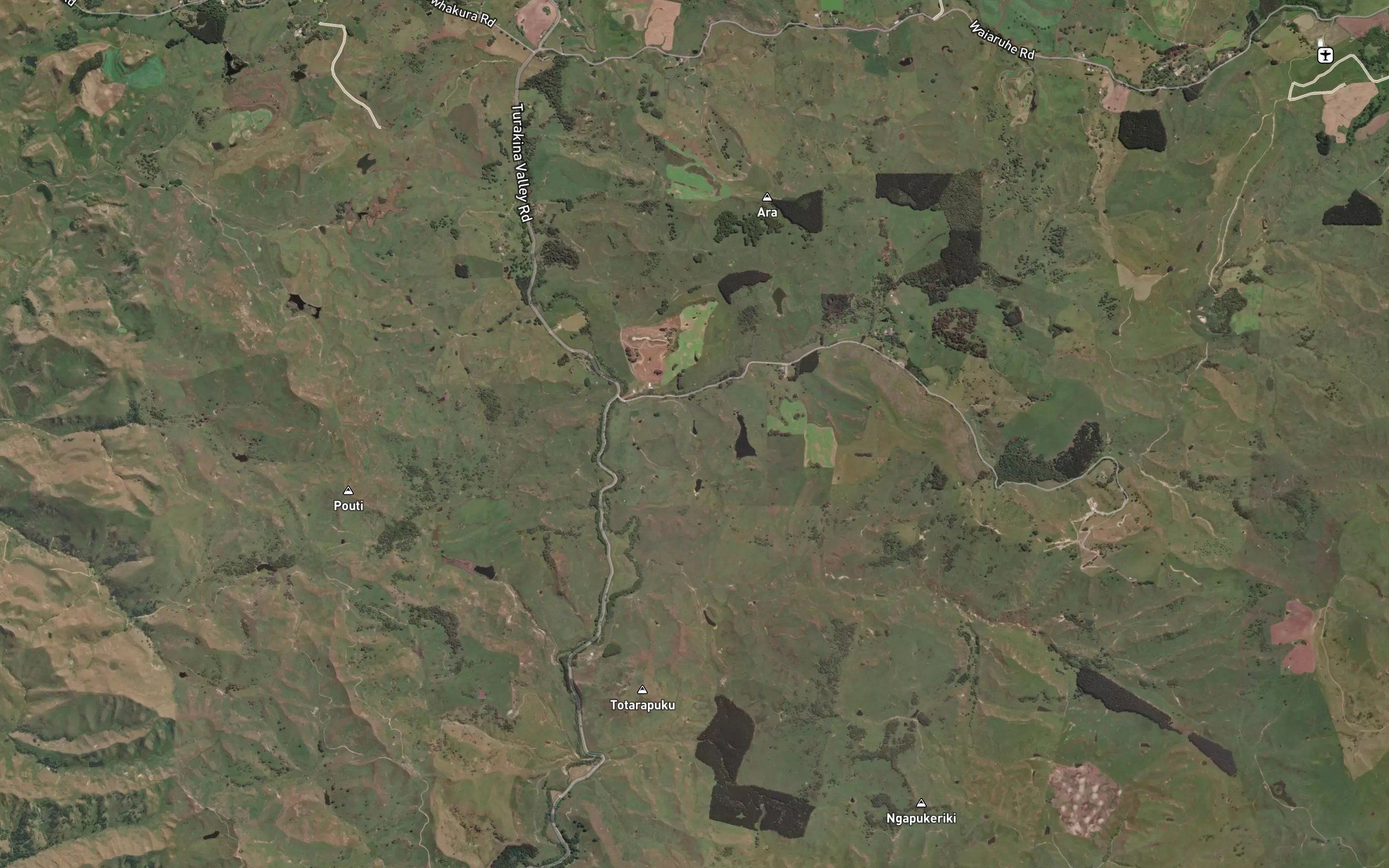 Ongaonga Stream