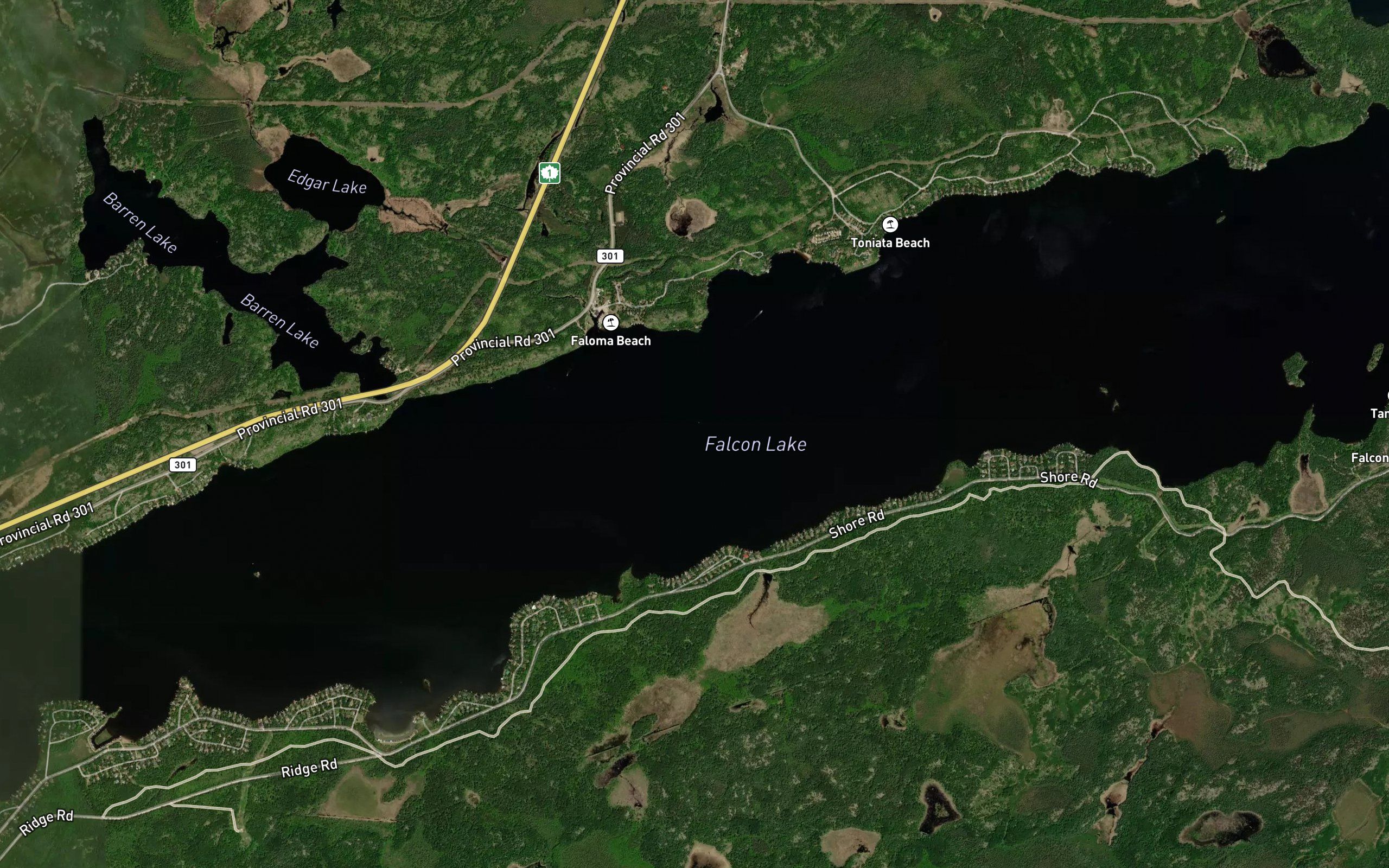 Falcon Lake