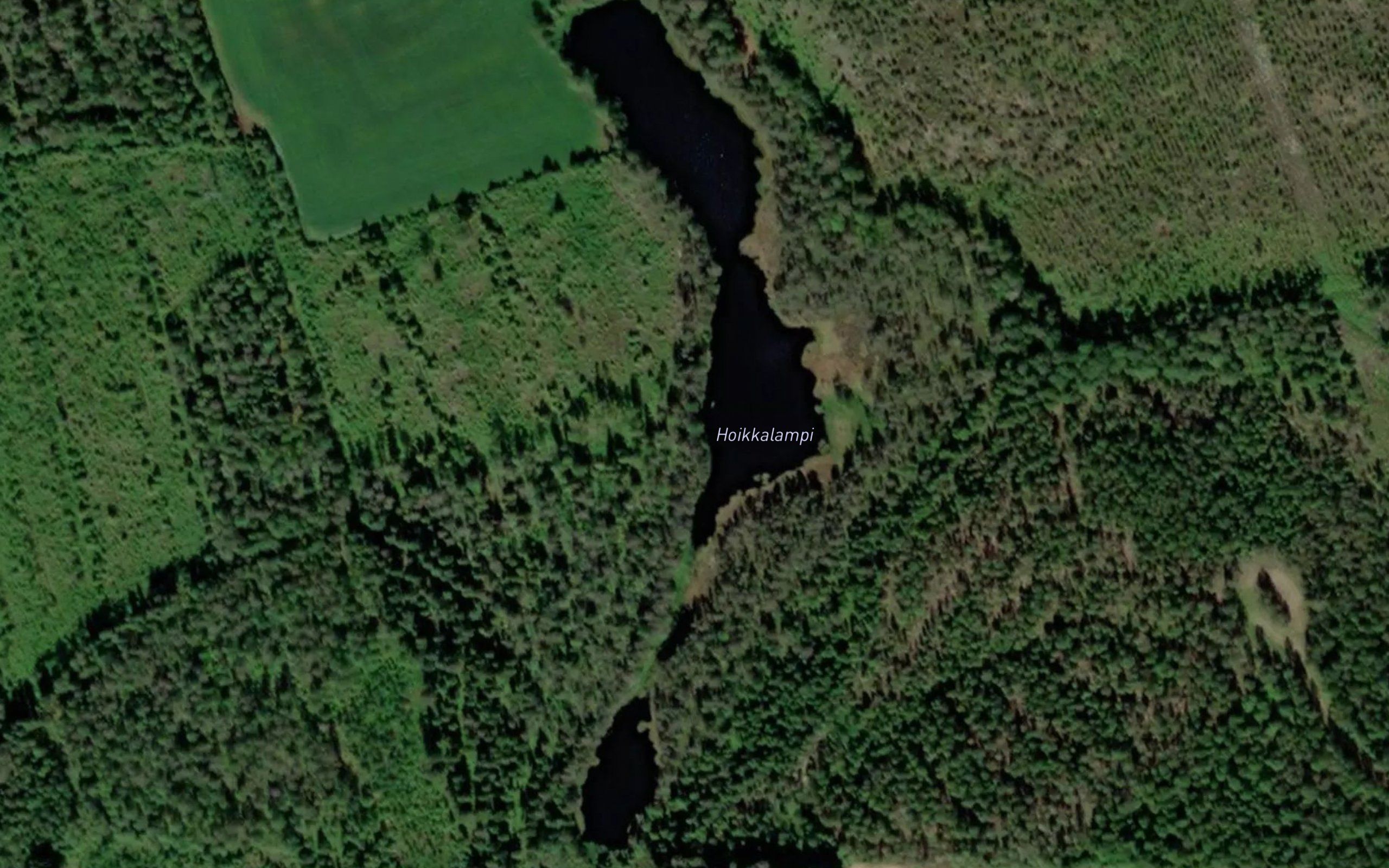Hoikkalampi