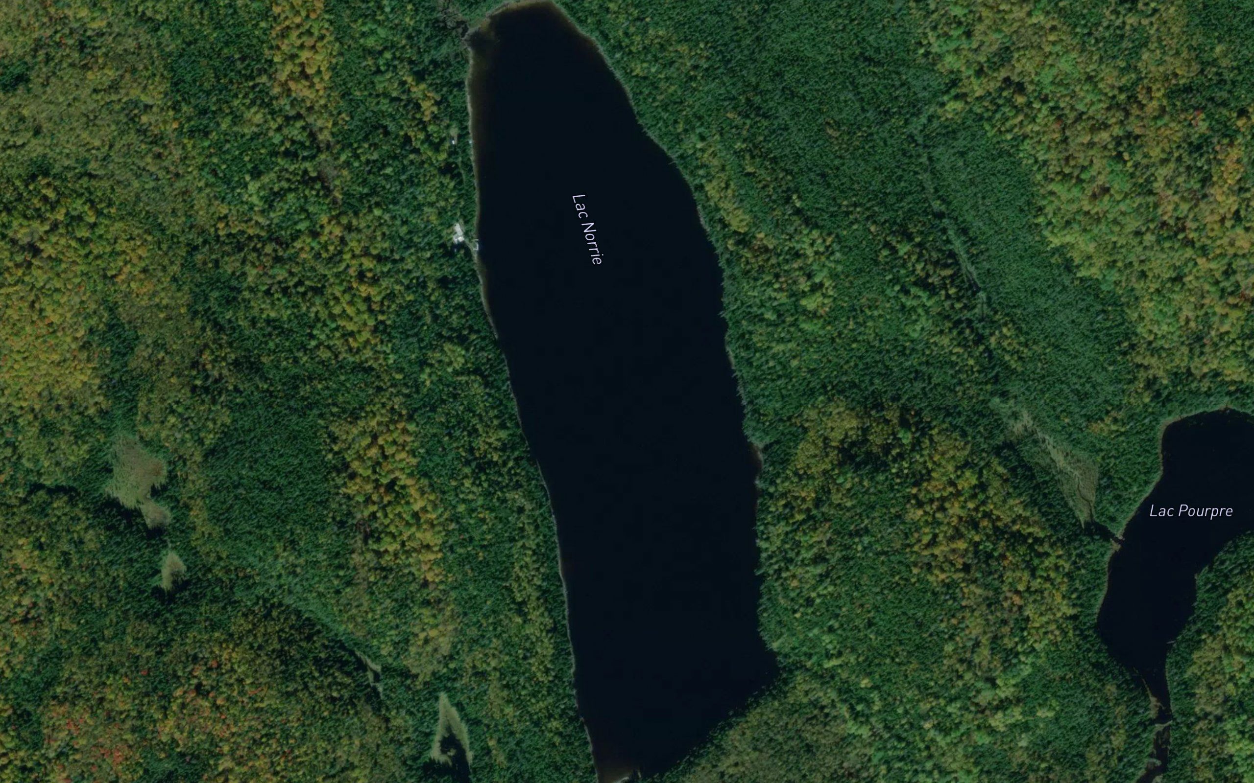 Lac Norrie