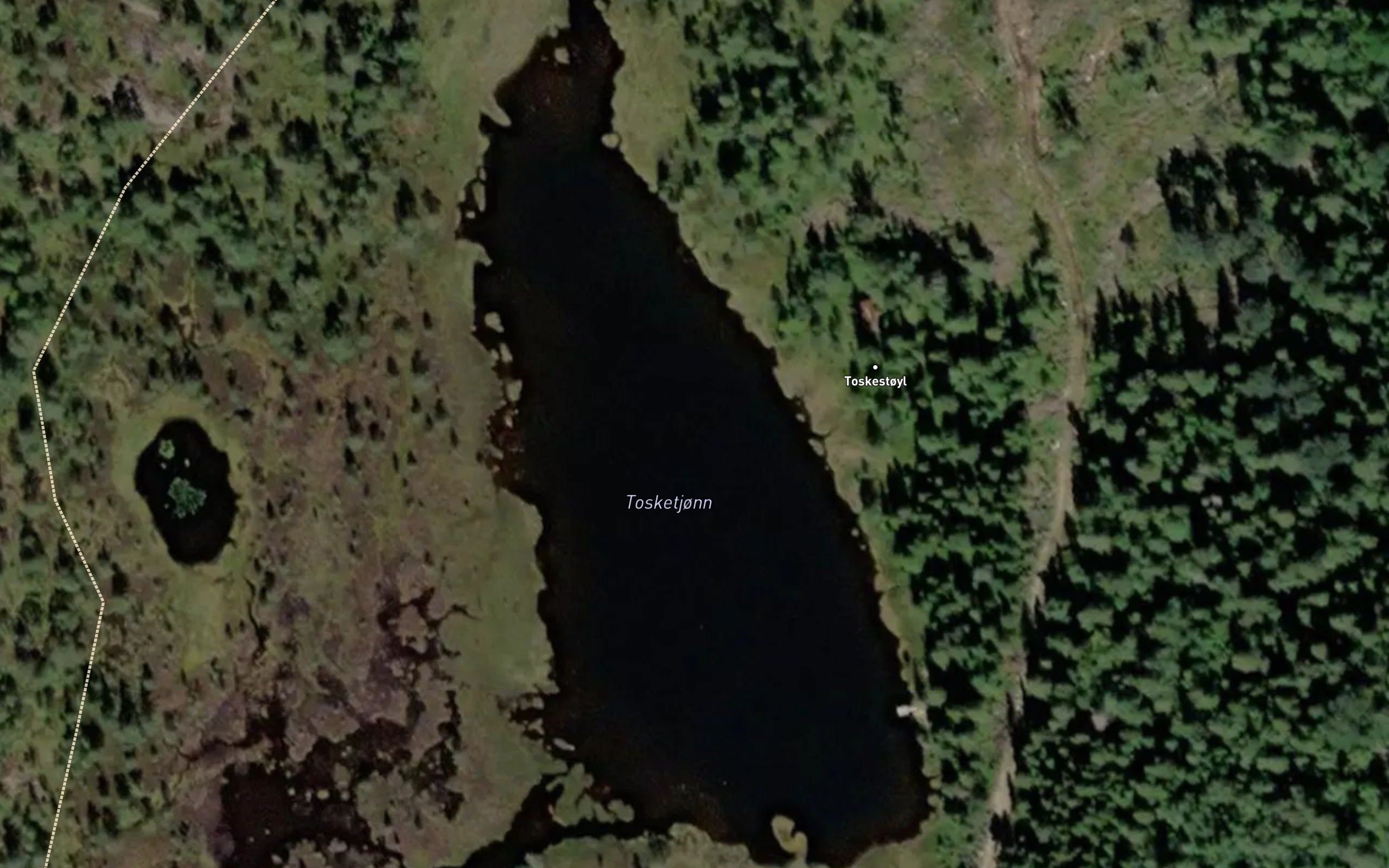 Tosketjorn