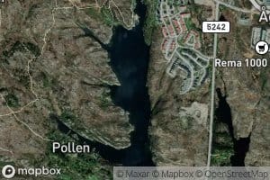 Kartveitpollen