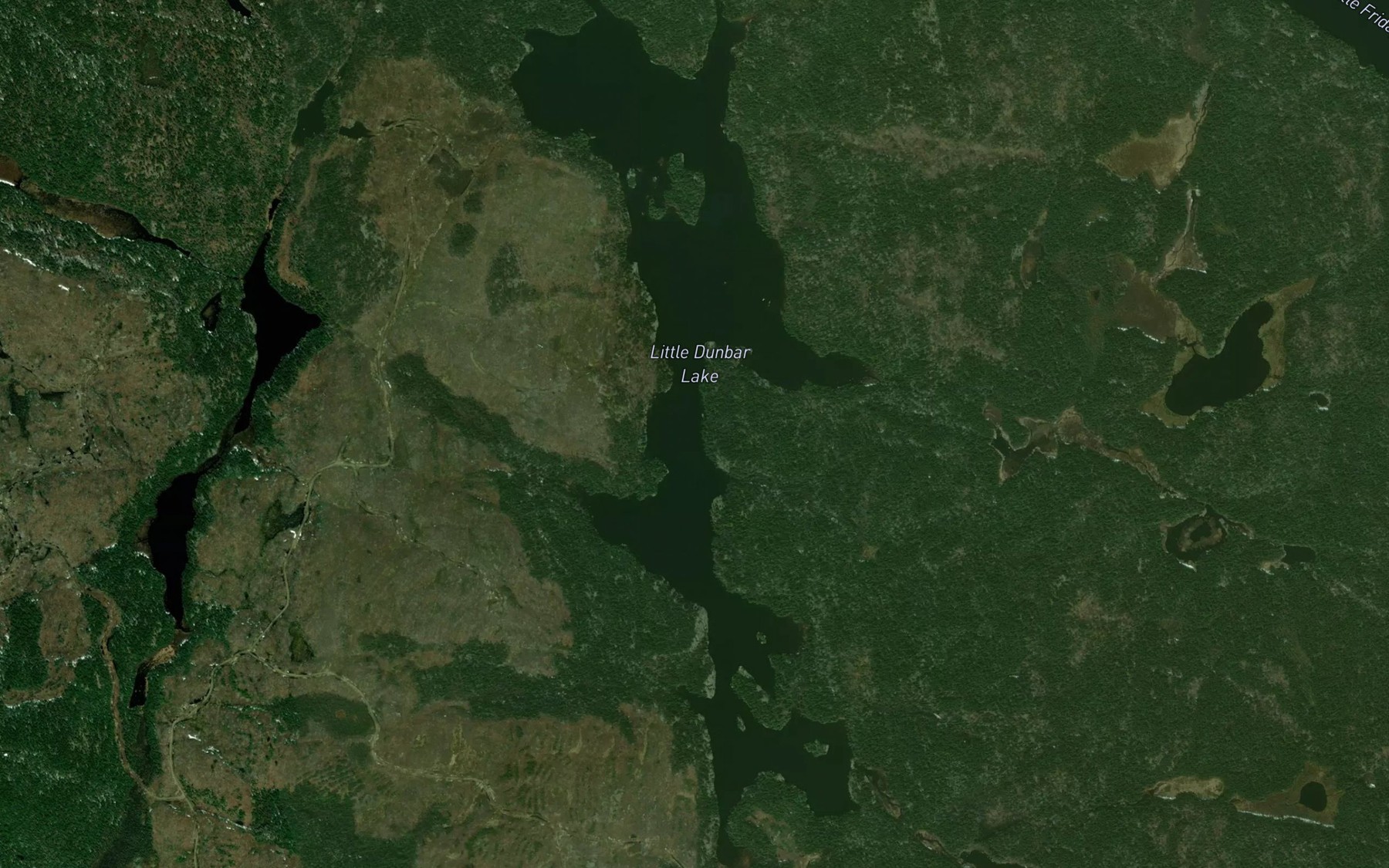 Satellite map of the Little Dunbar Lake