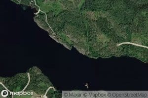 Virsulahti