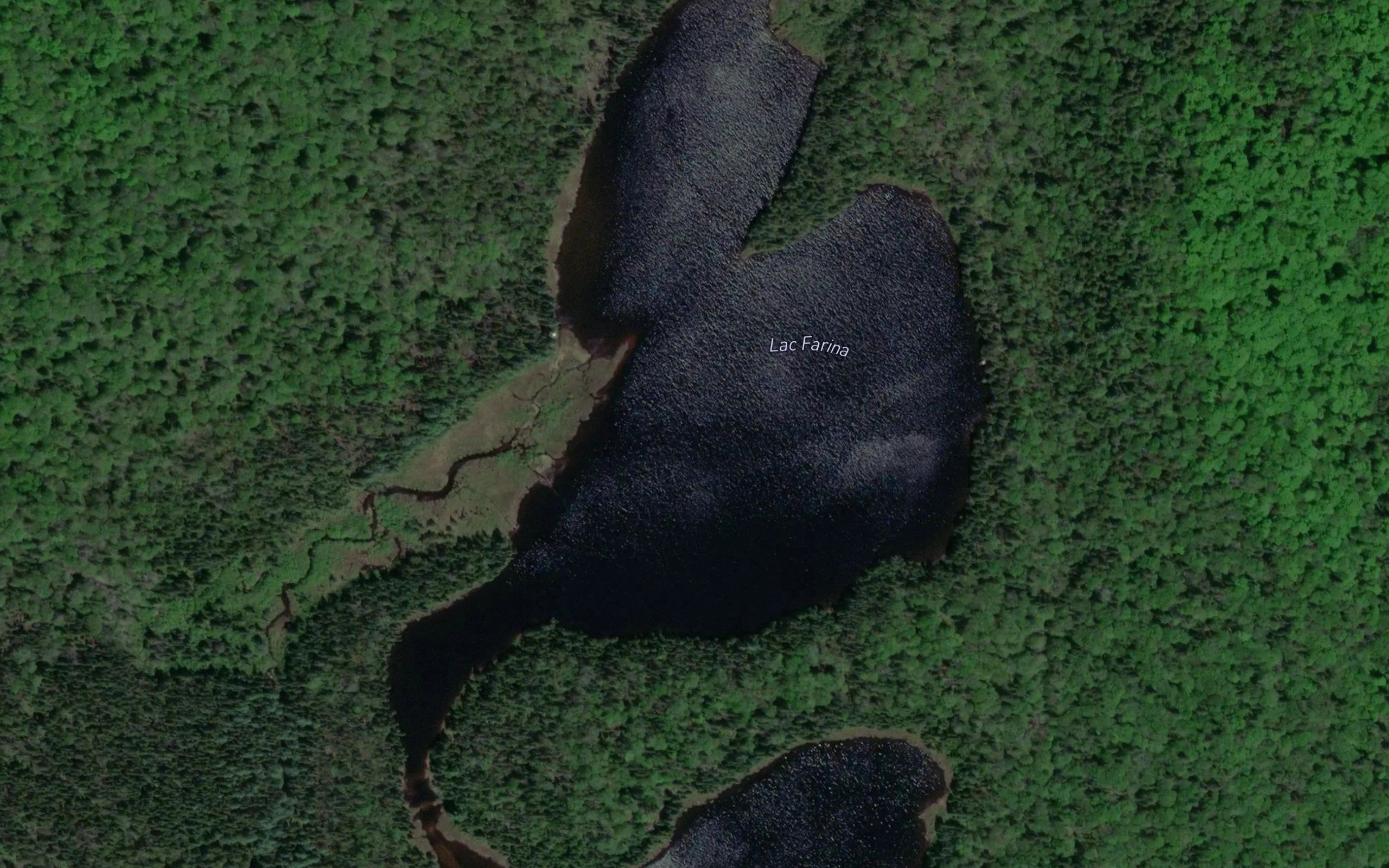 Lac Farina