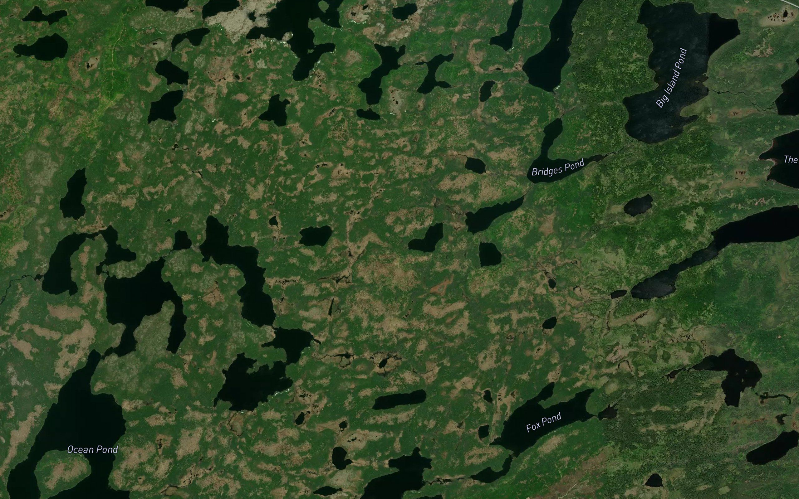 Spruce Pond