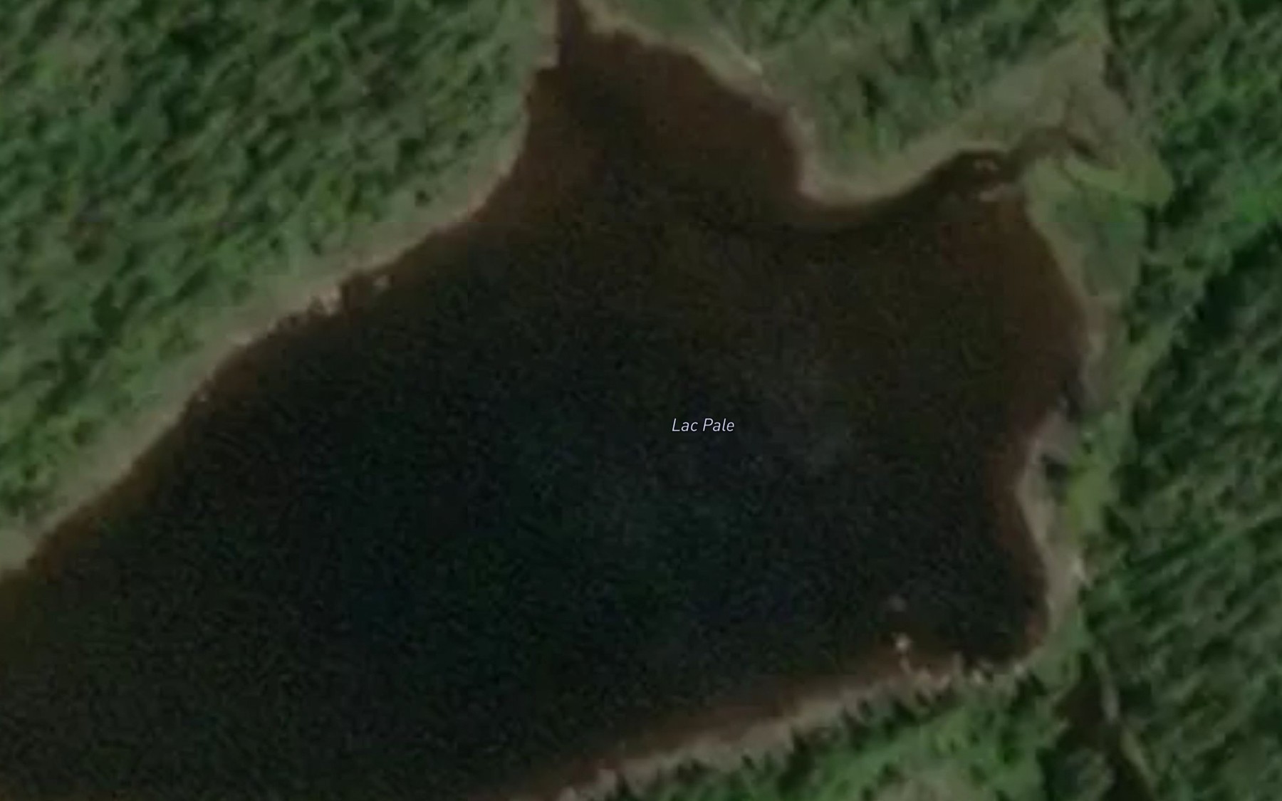 Satellite map of the Lac Pale