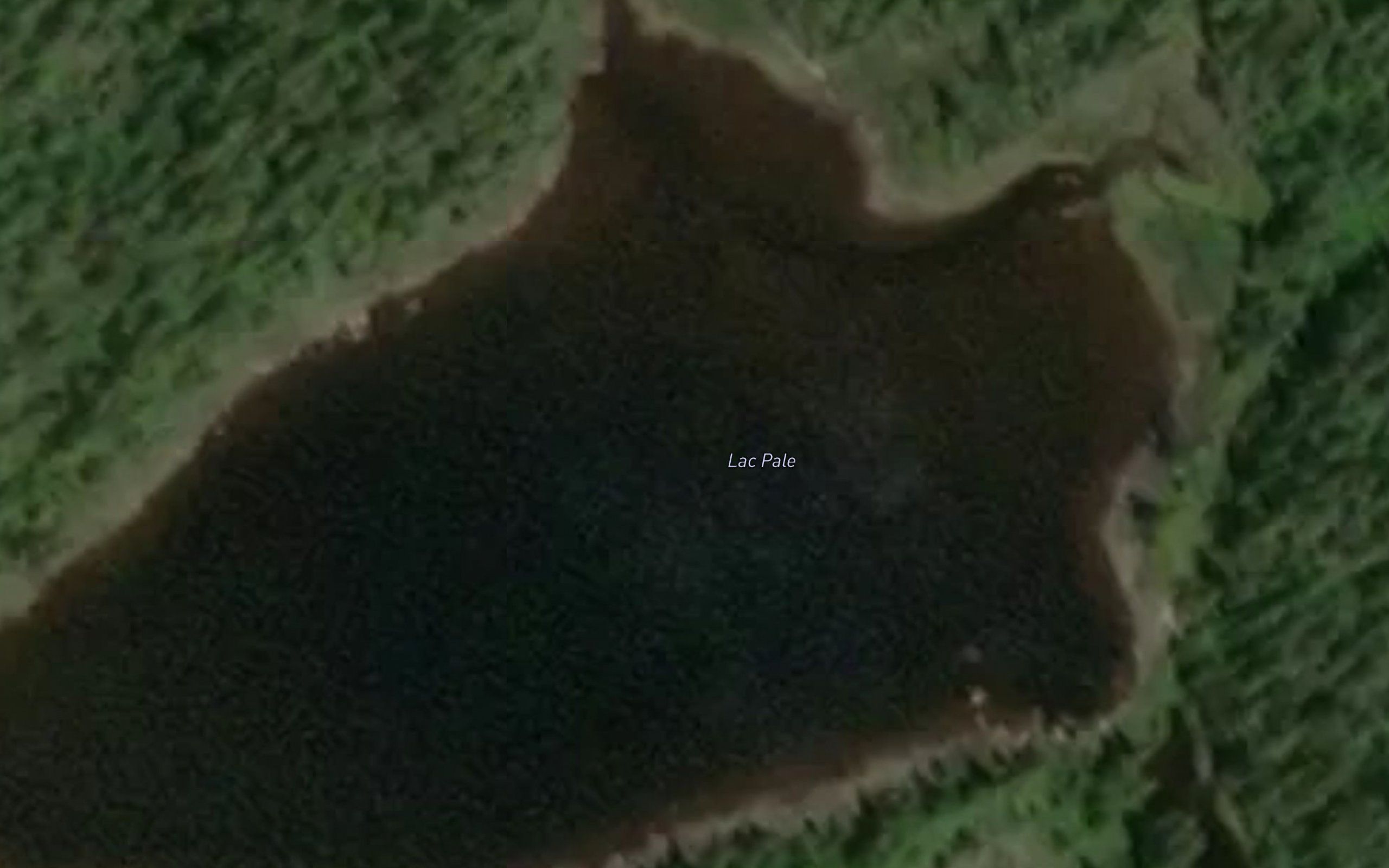 Lac Pale