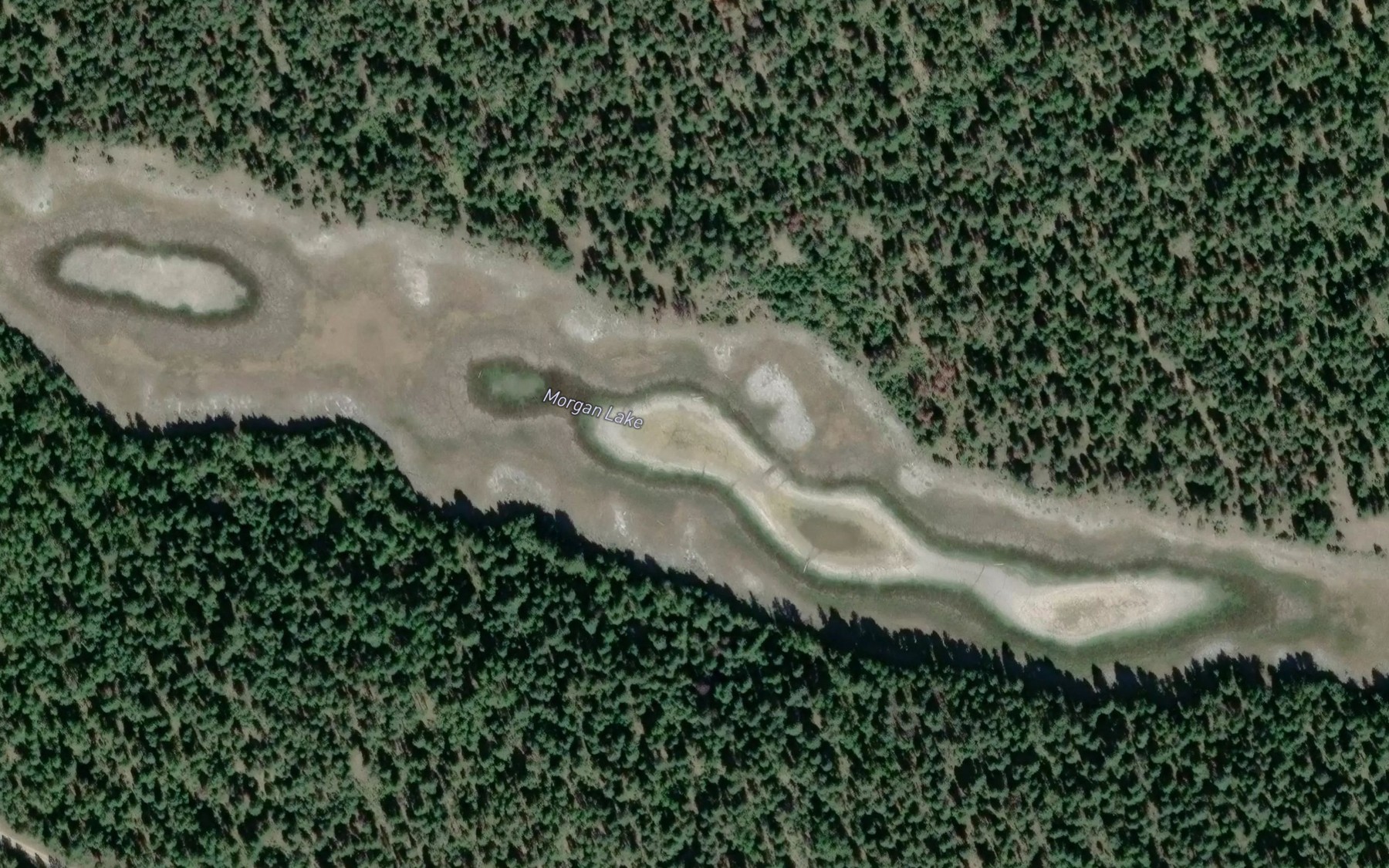 Satellite map of the Morgan Lake