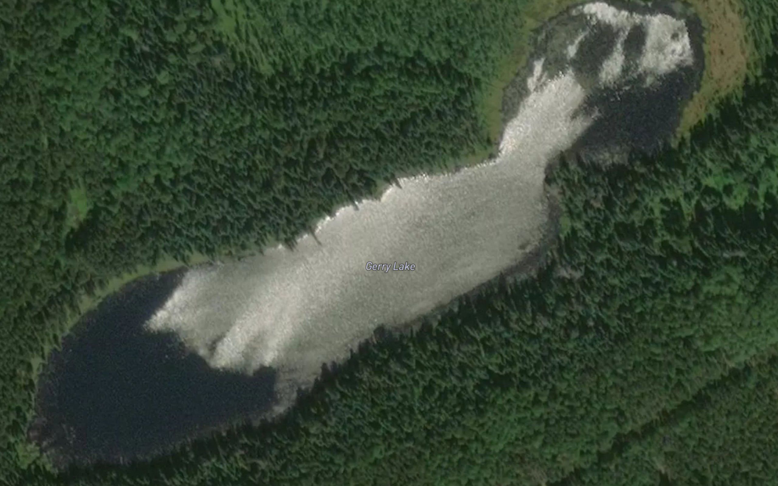 Gerry Lake