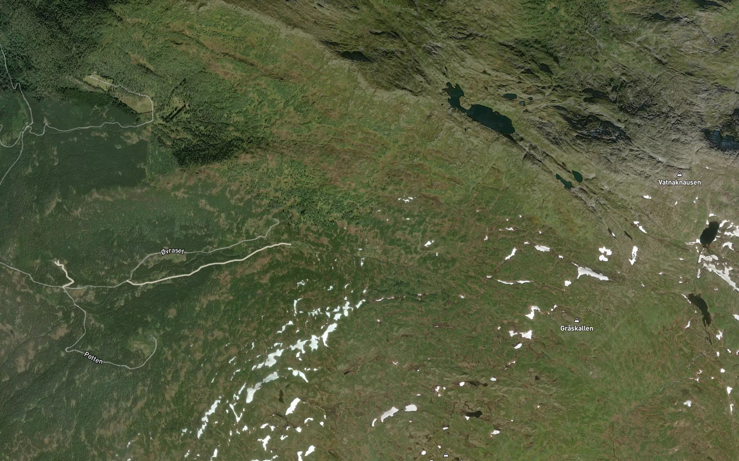 Budalsgrovi