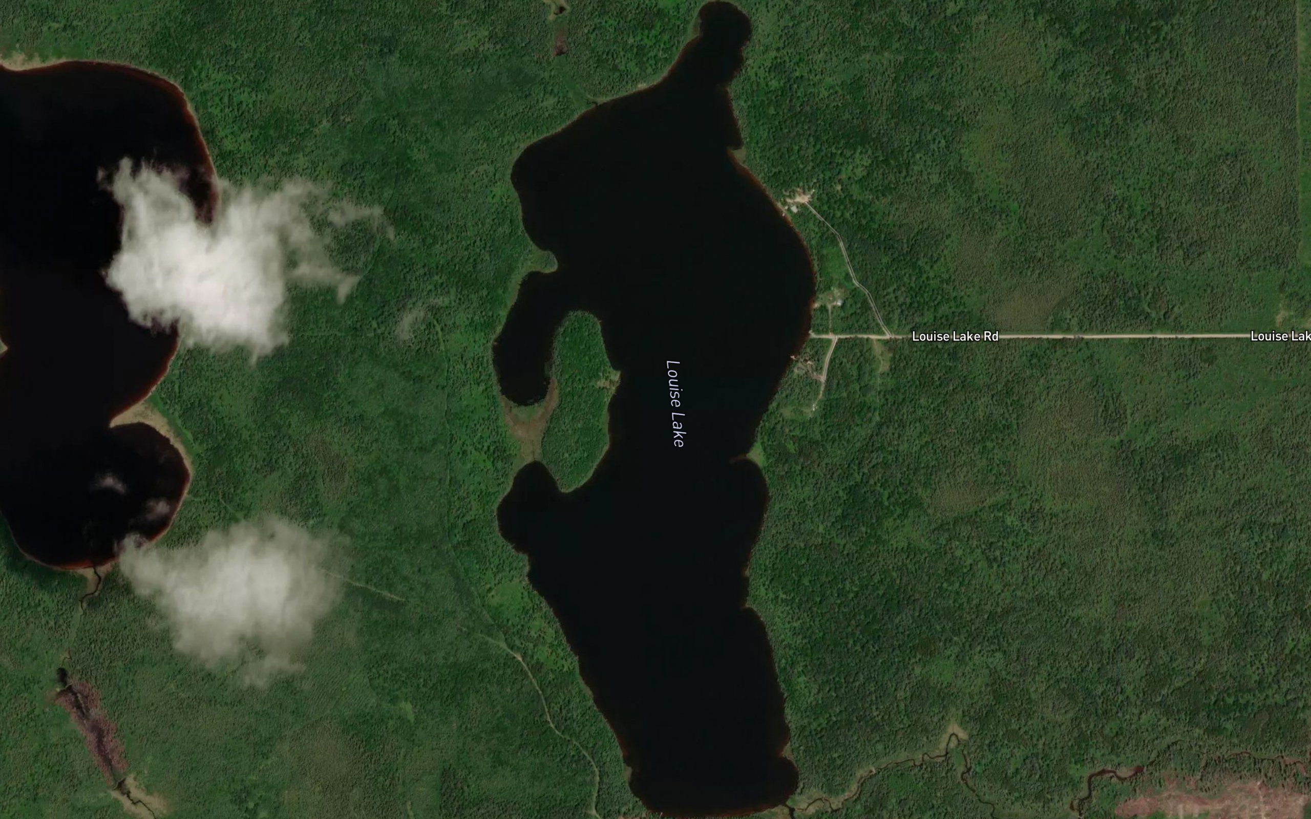 Louise Lake