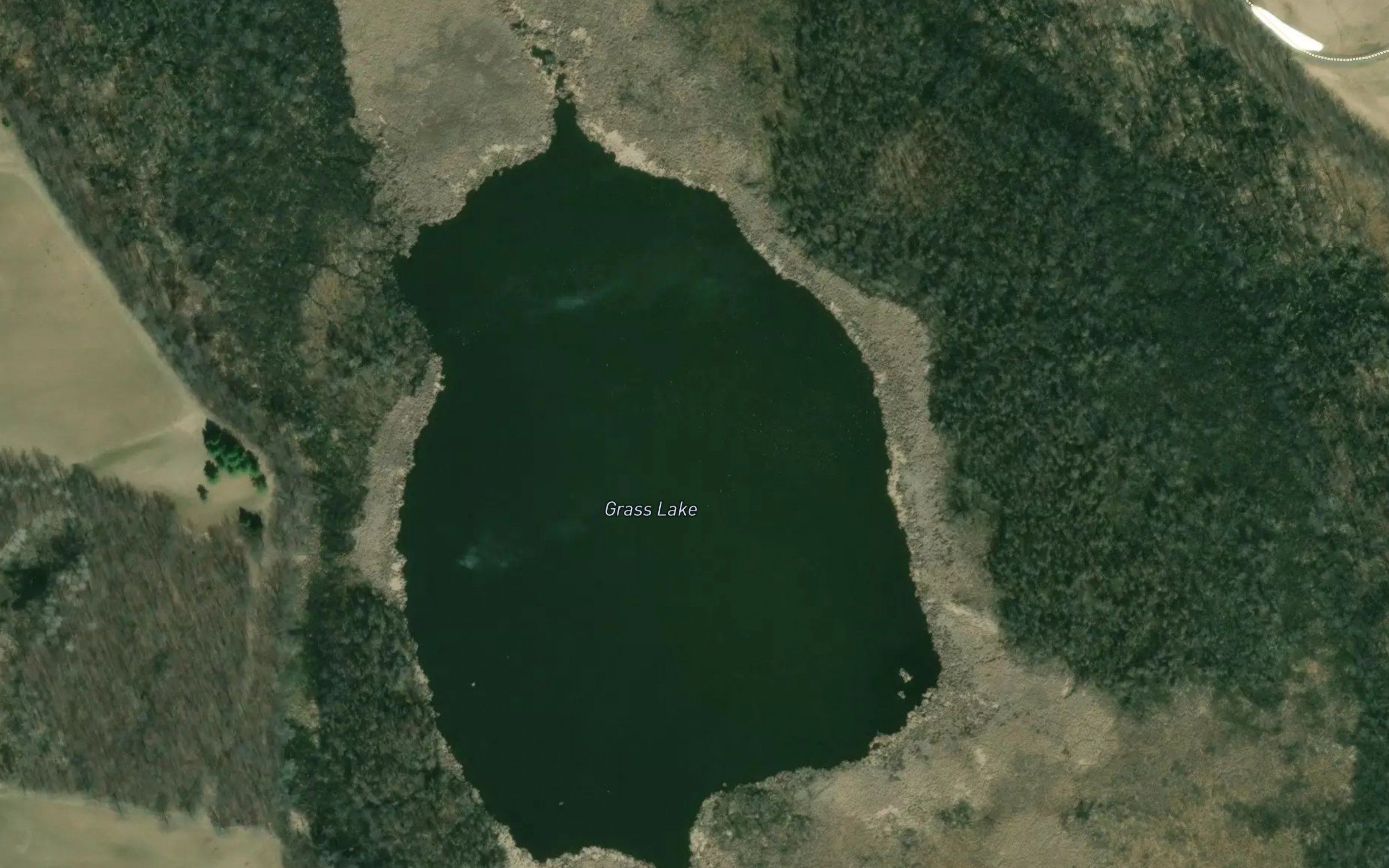 Grass Lake