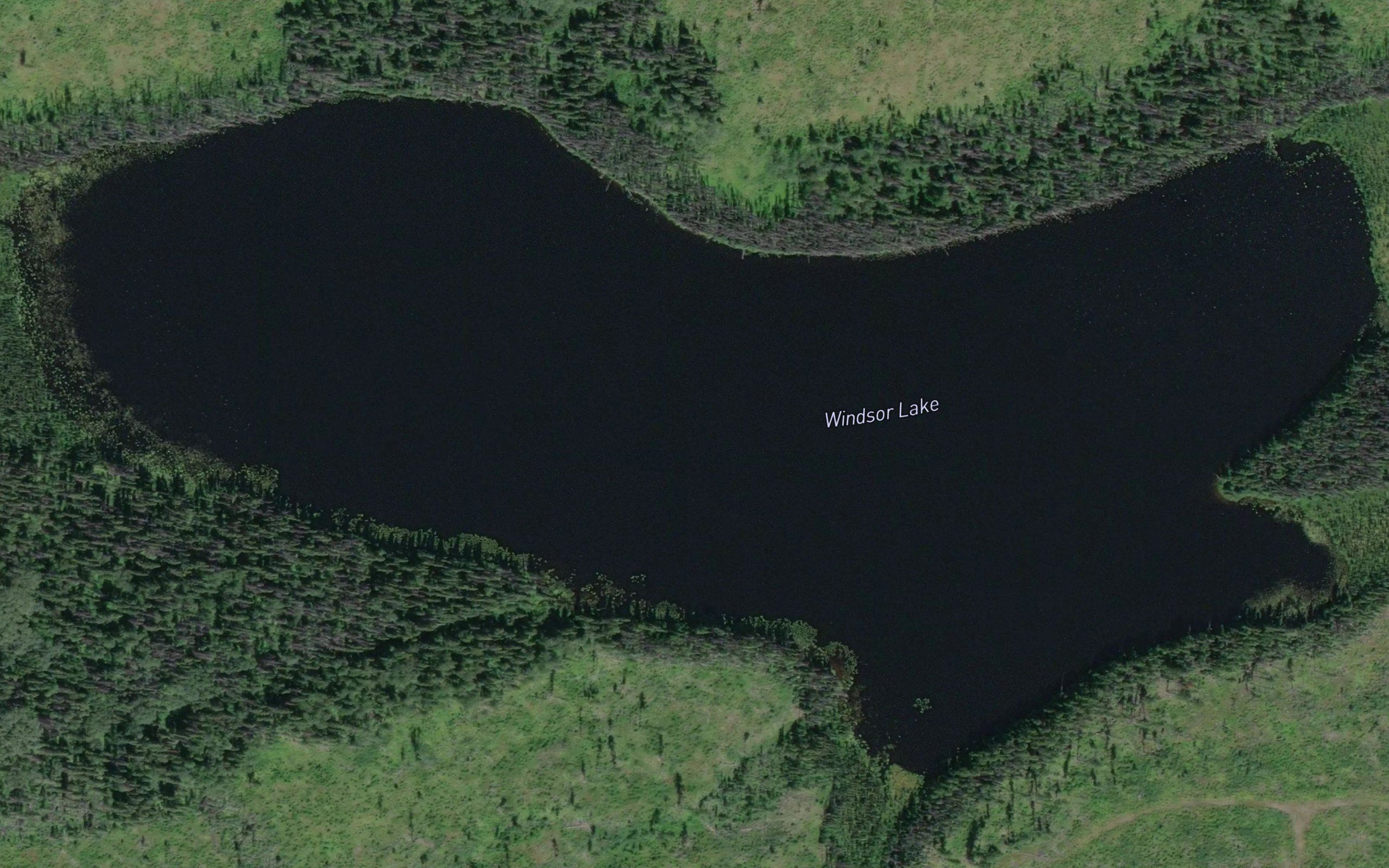 Windsor Lake