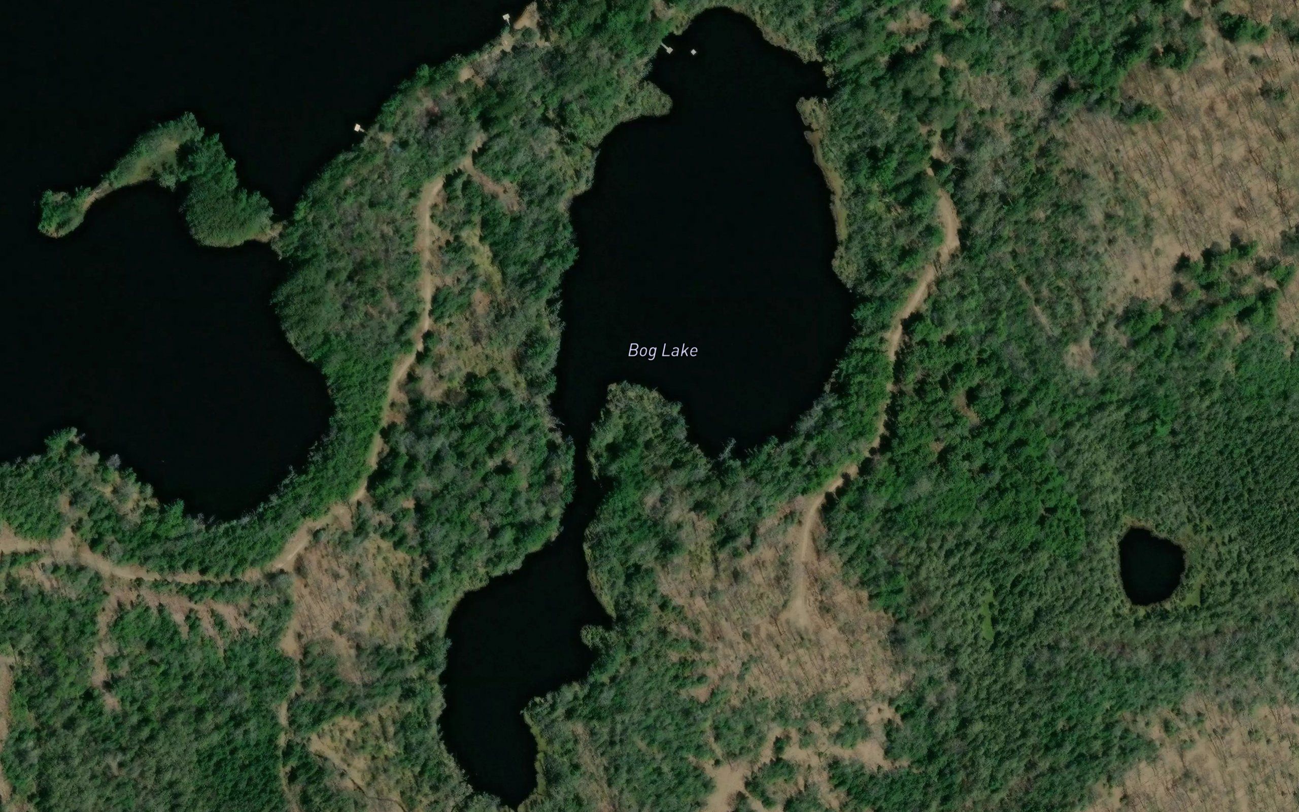 Bog Lake