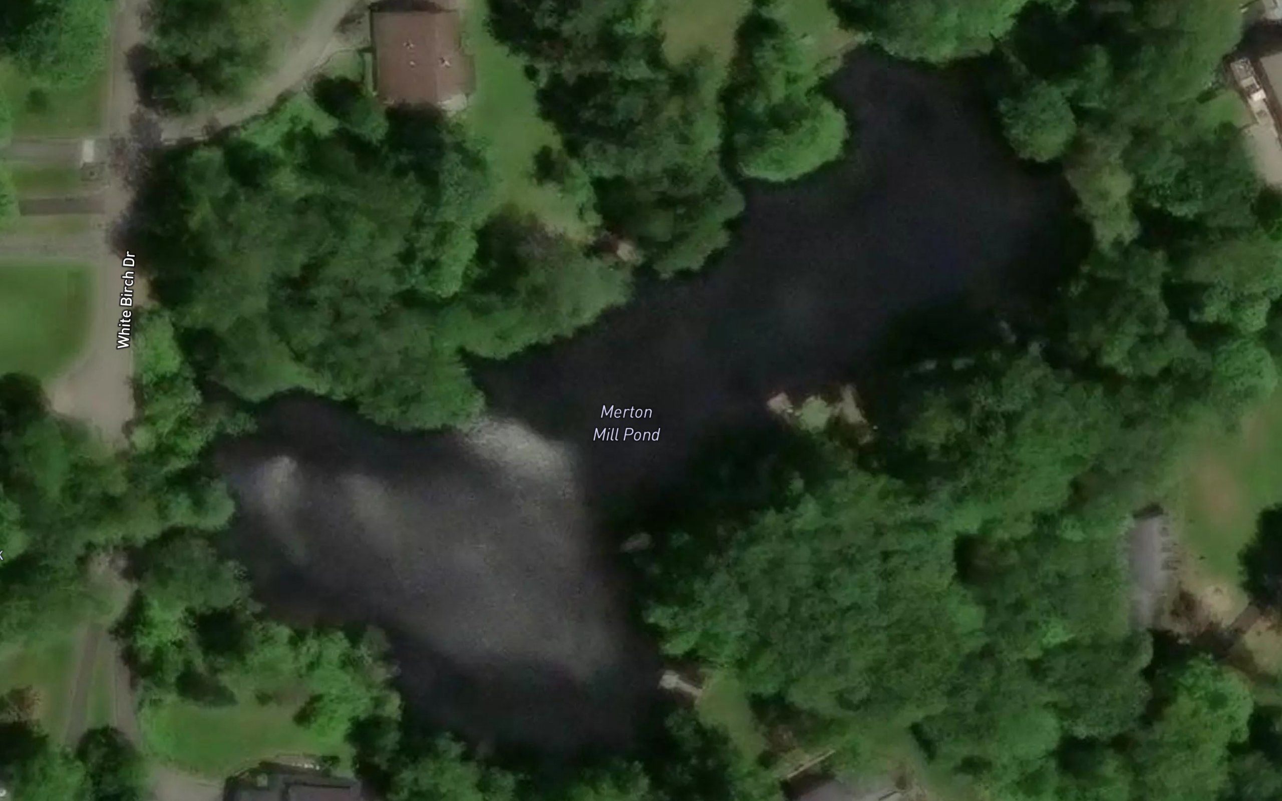Merton Mill Pond